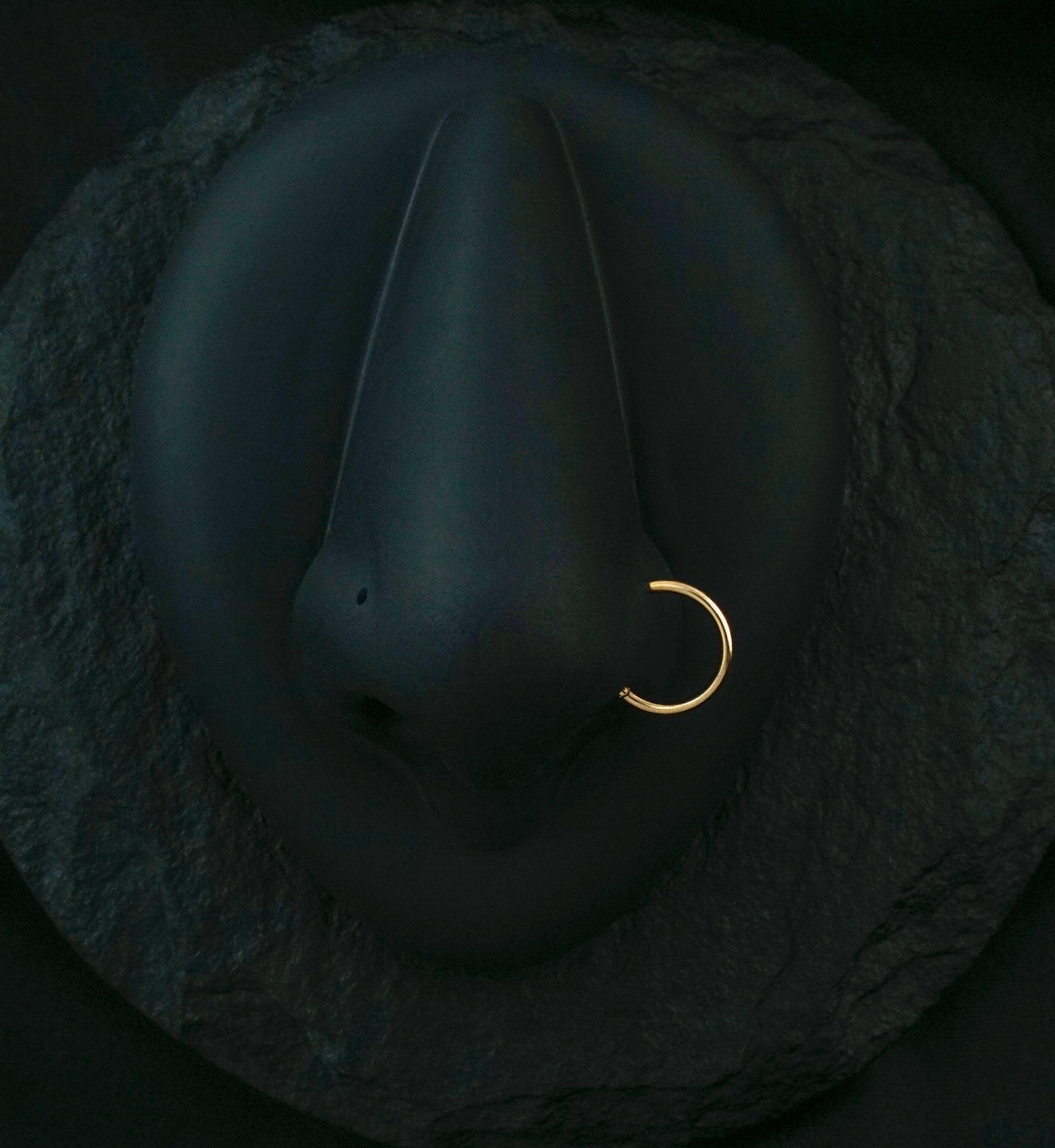 Rose Gold PVD Hinged Stainless Steel Segment Hoop Ring