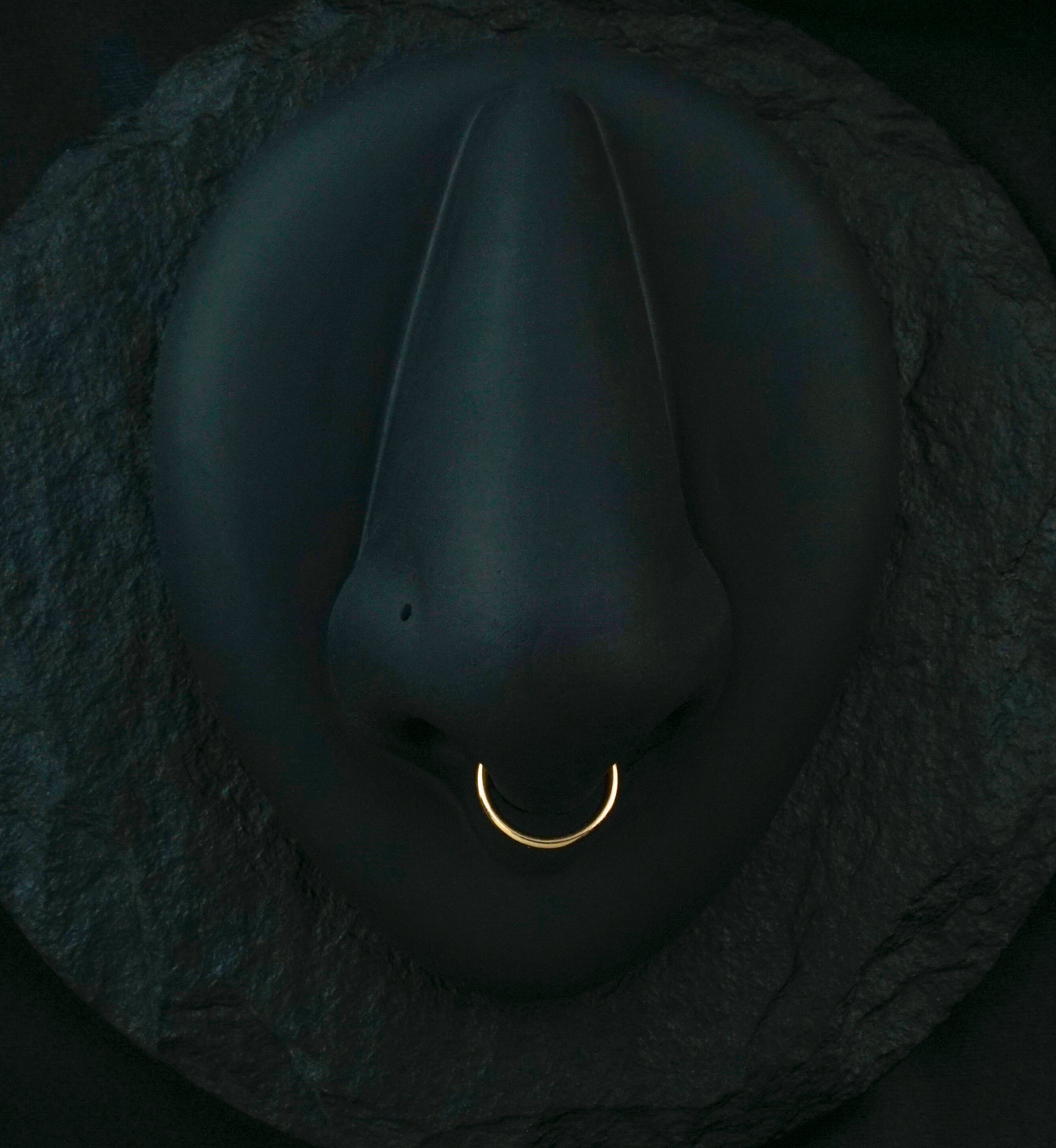 Rose Gold PVD Hinged Stainless Steel Segment Hoop Ring