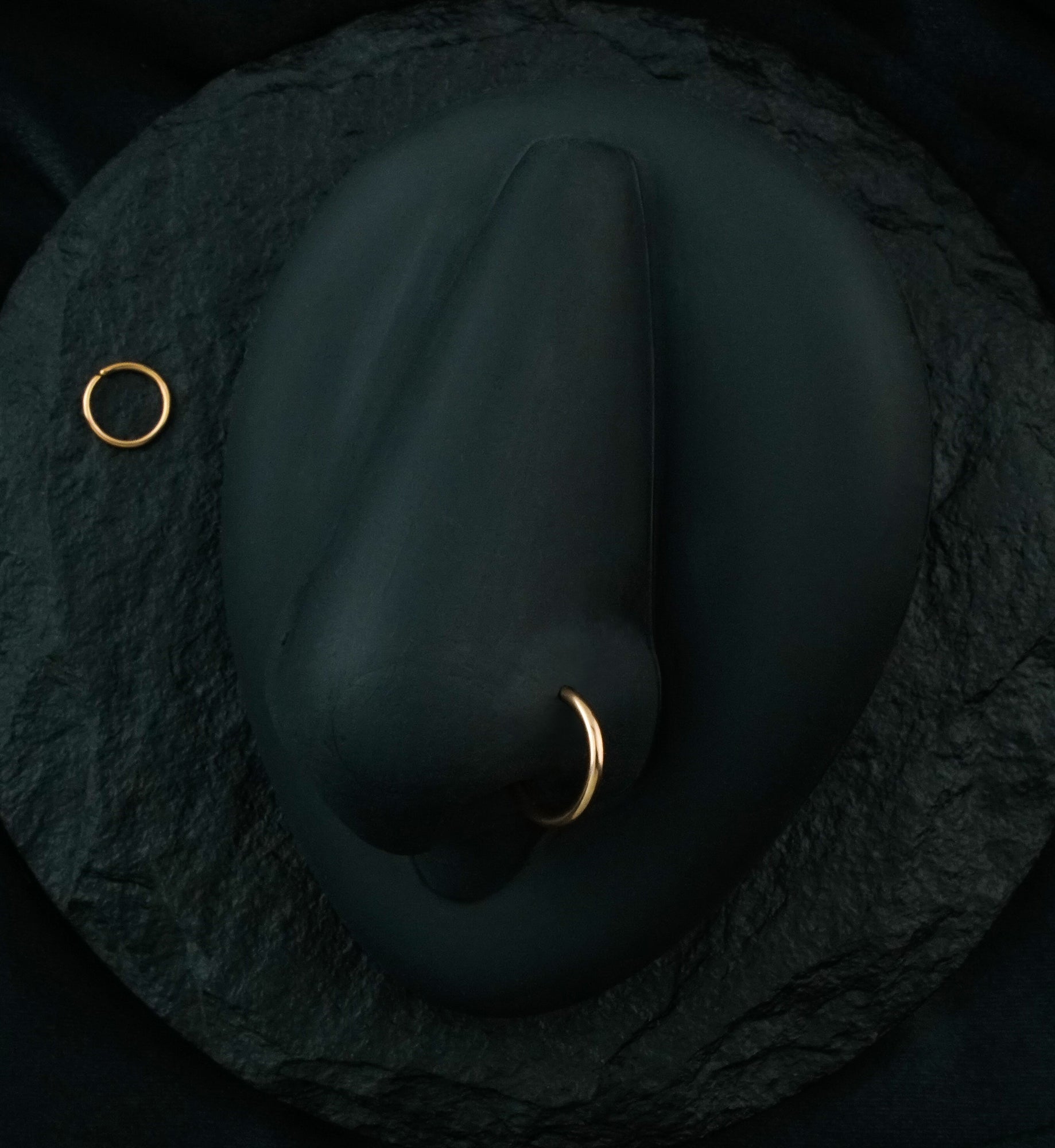 Rose Gold PVD Seamless Stainless Steel Hoop Ring