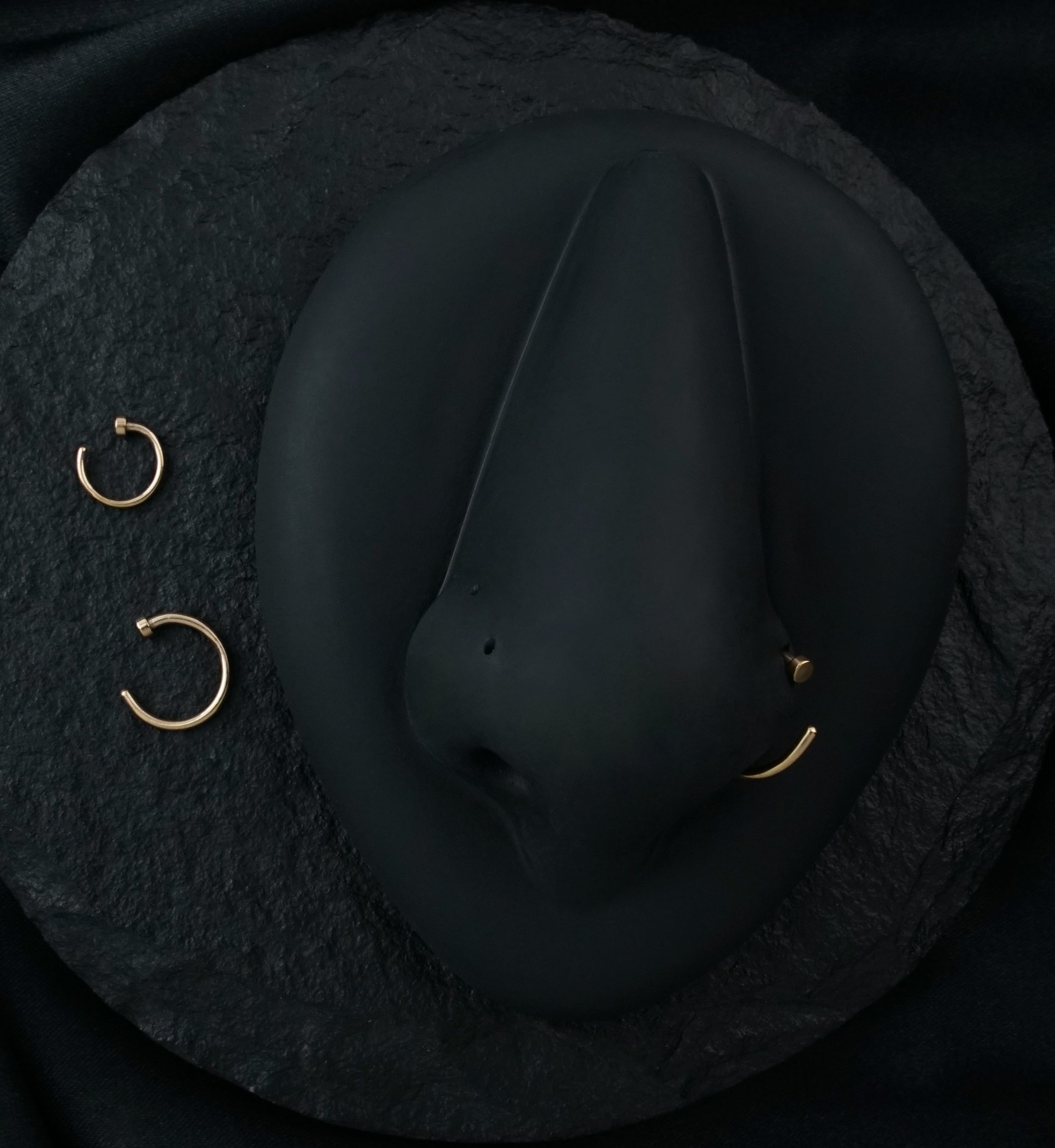 Rose Gold PVD Stainless Steel Nose Hoop Ring