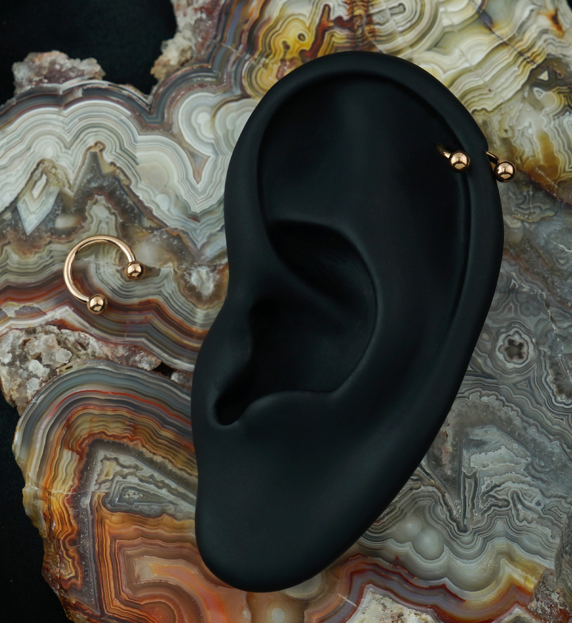 Rose Gold PVD Titanium Circular Barbell