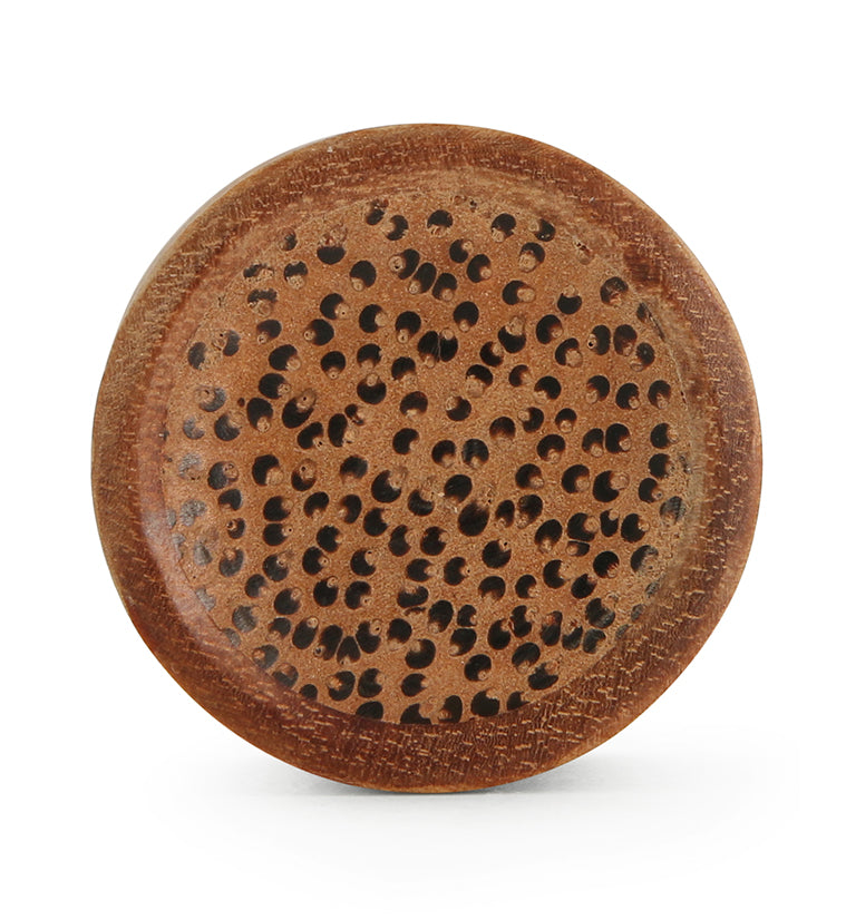 Saba Wood Plugs With Coconut Inlay