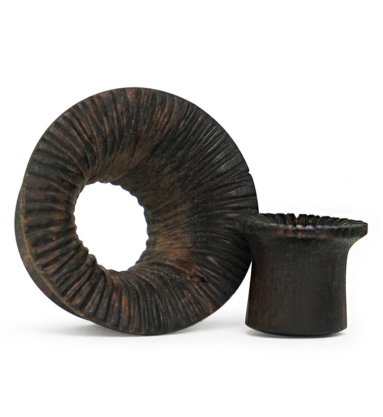 Score Areng Wood Mayan Flare Tunnel Plugs