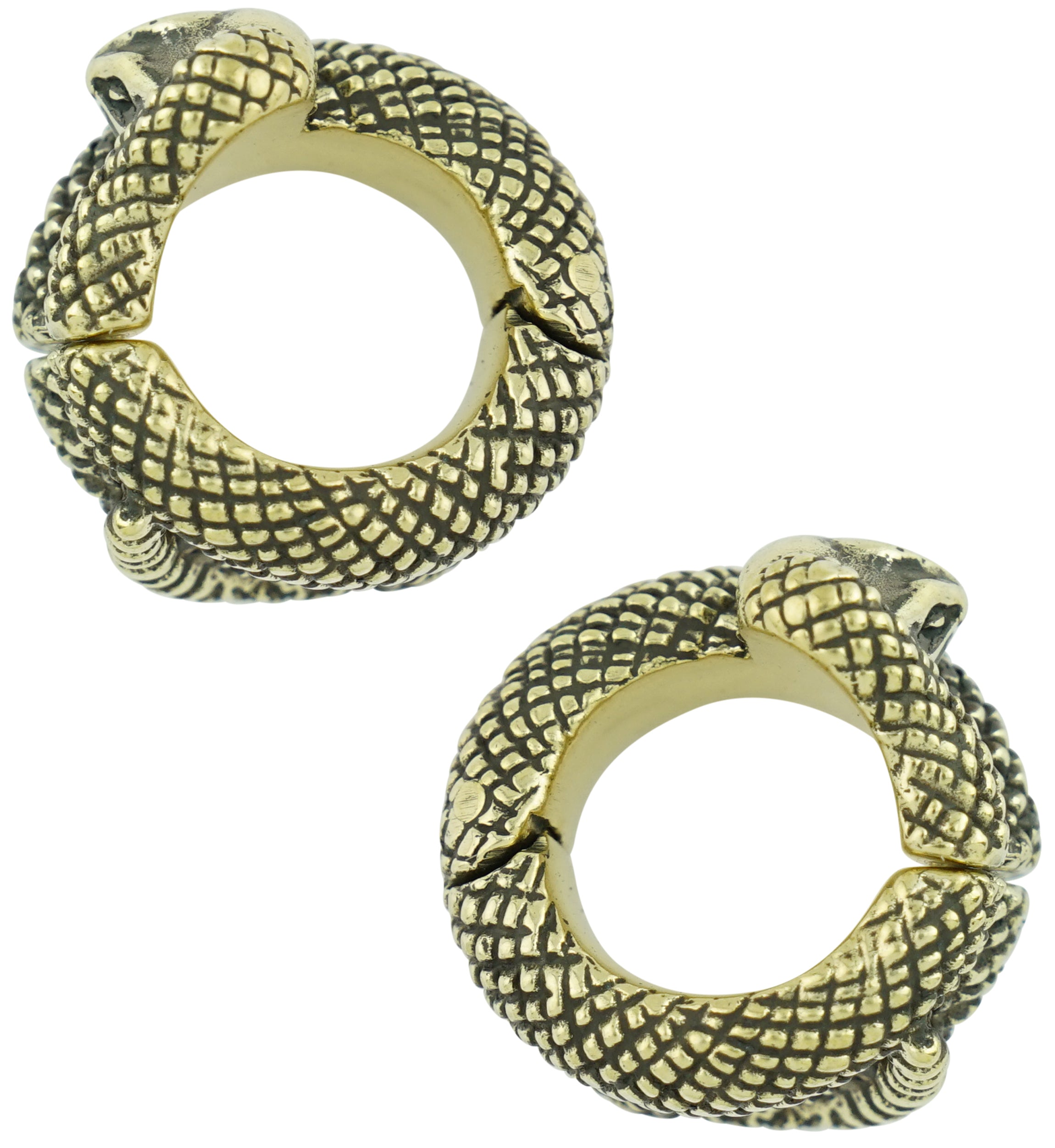 Serpent Coil Brass Hinged Stretched Ear Cuffs