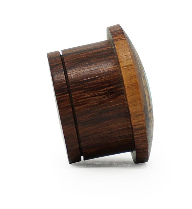 Single Flare Dark Tamarind Wood Plugs with Coconut & Turquoise Inlay