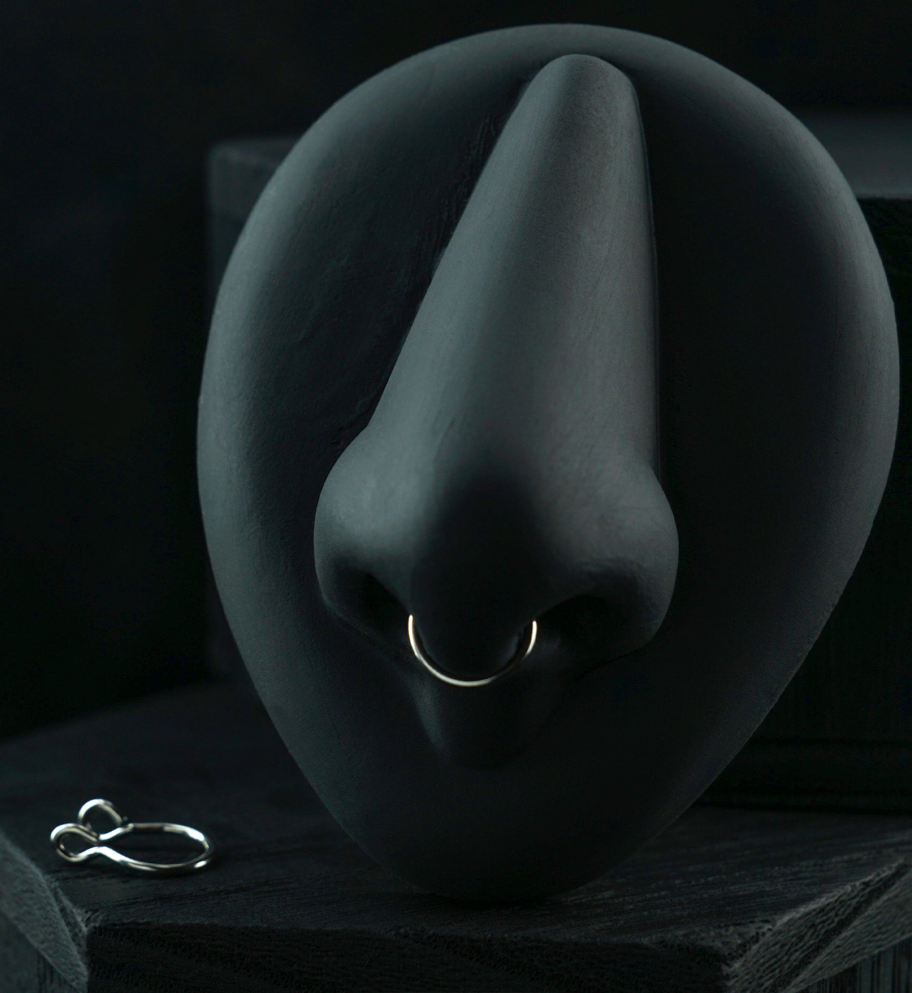 Single Hoop Stainless Steel Fake Septum Ring