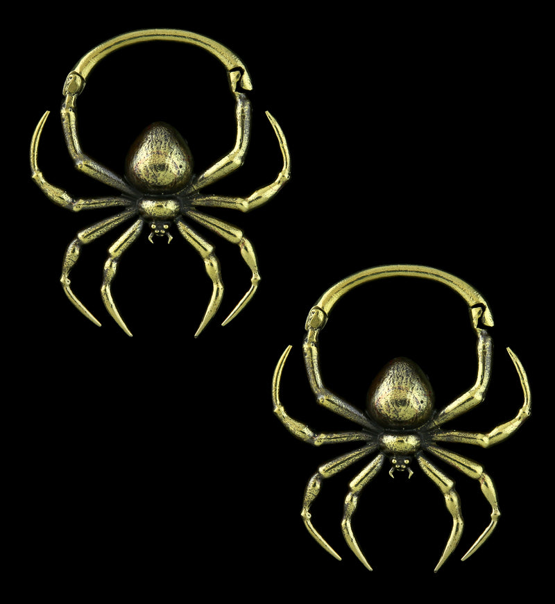 Spider Brass Hinged Ear Weights