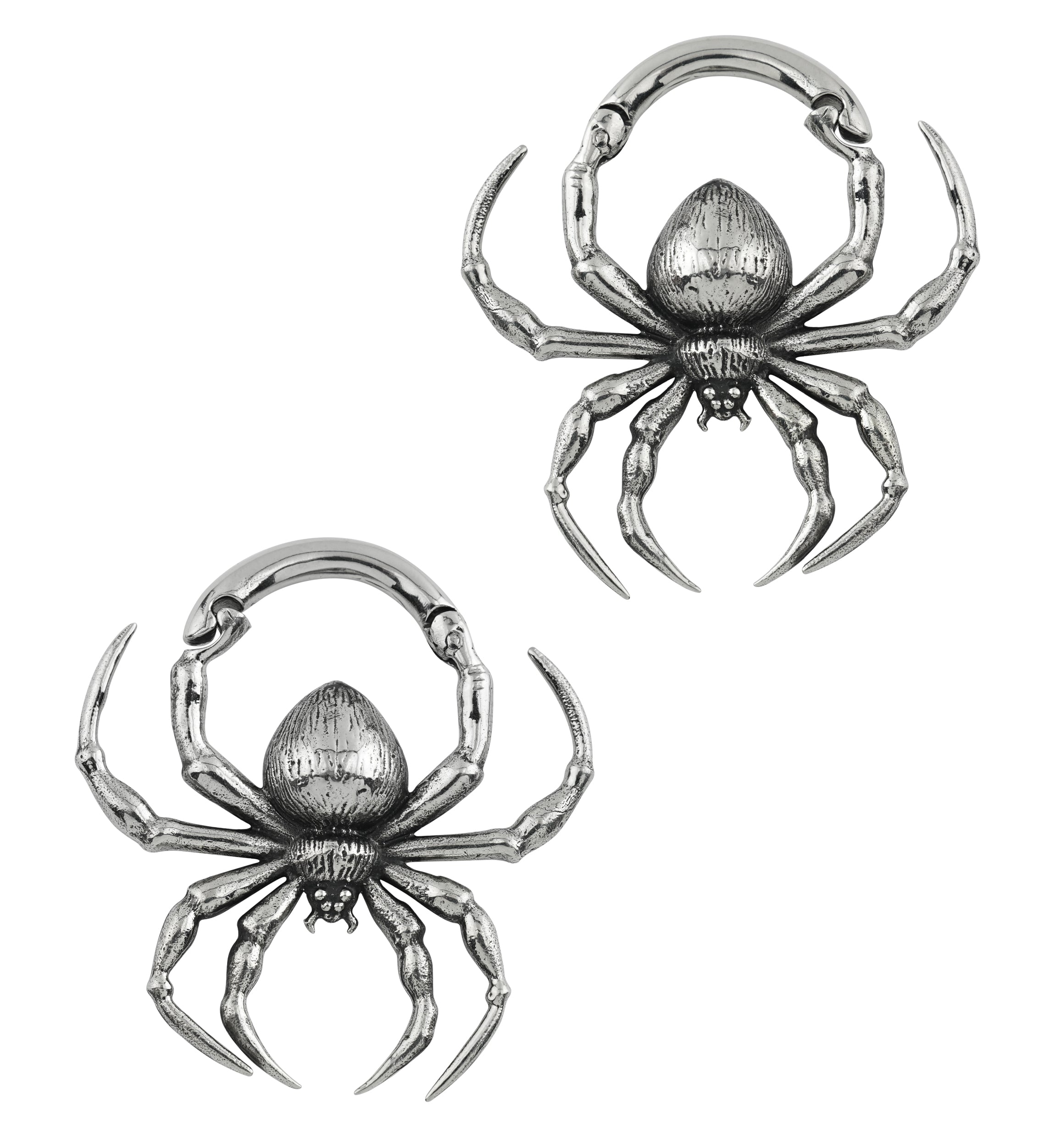Spider White Brass Hinged Ear Weights
