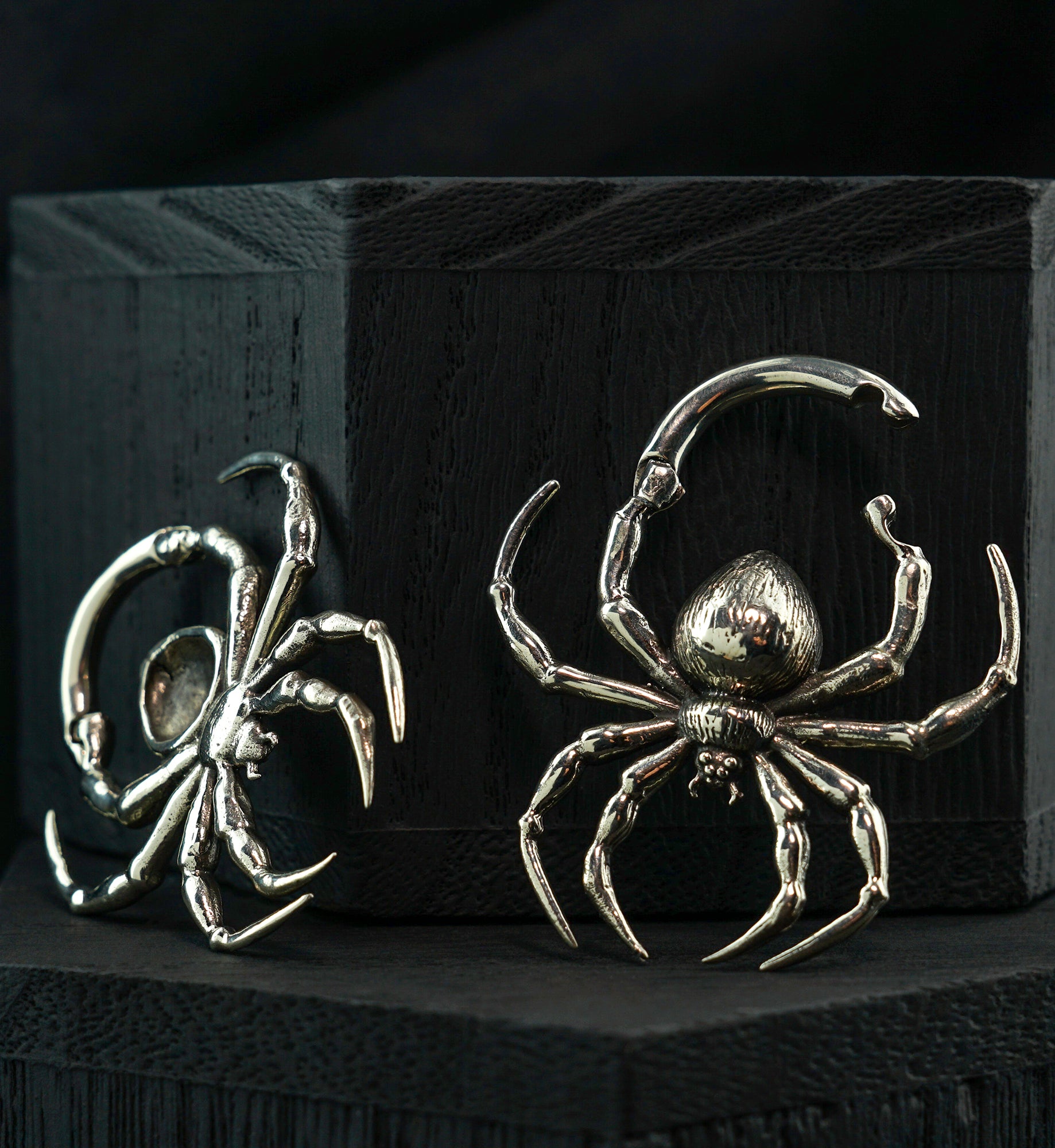 Spider White Brass Hinged Ear Weights
