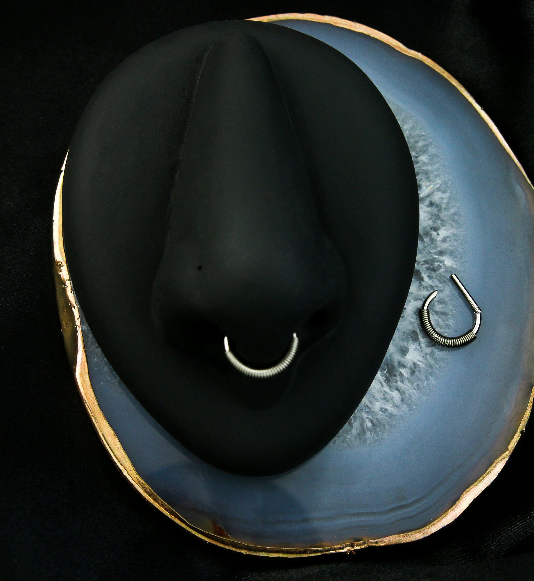 Spring Stainless Steel Straight Hinged Segment Ring