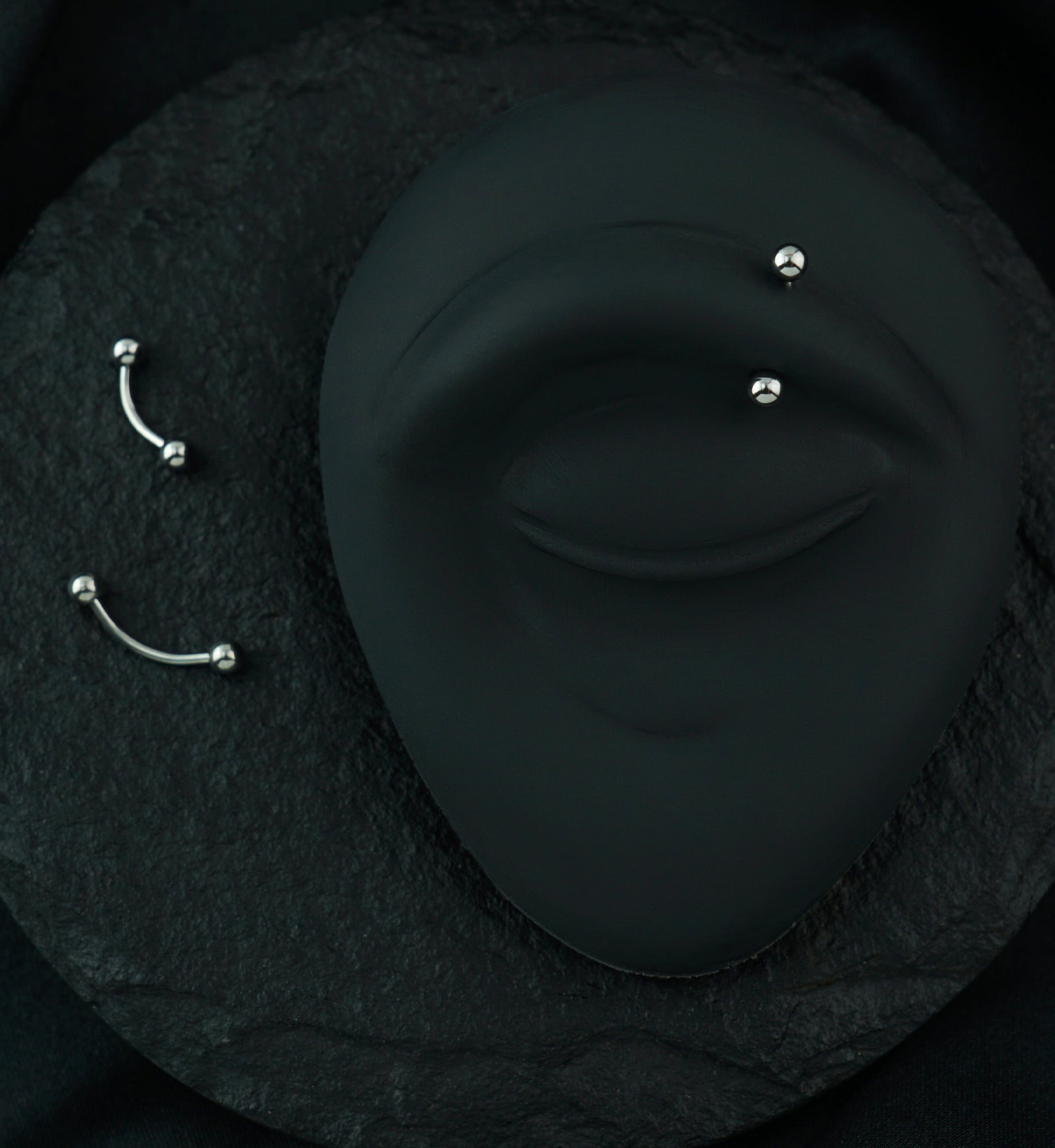 Stainless Steel Curved Barbell