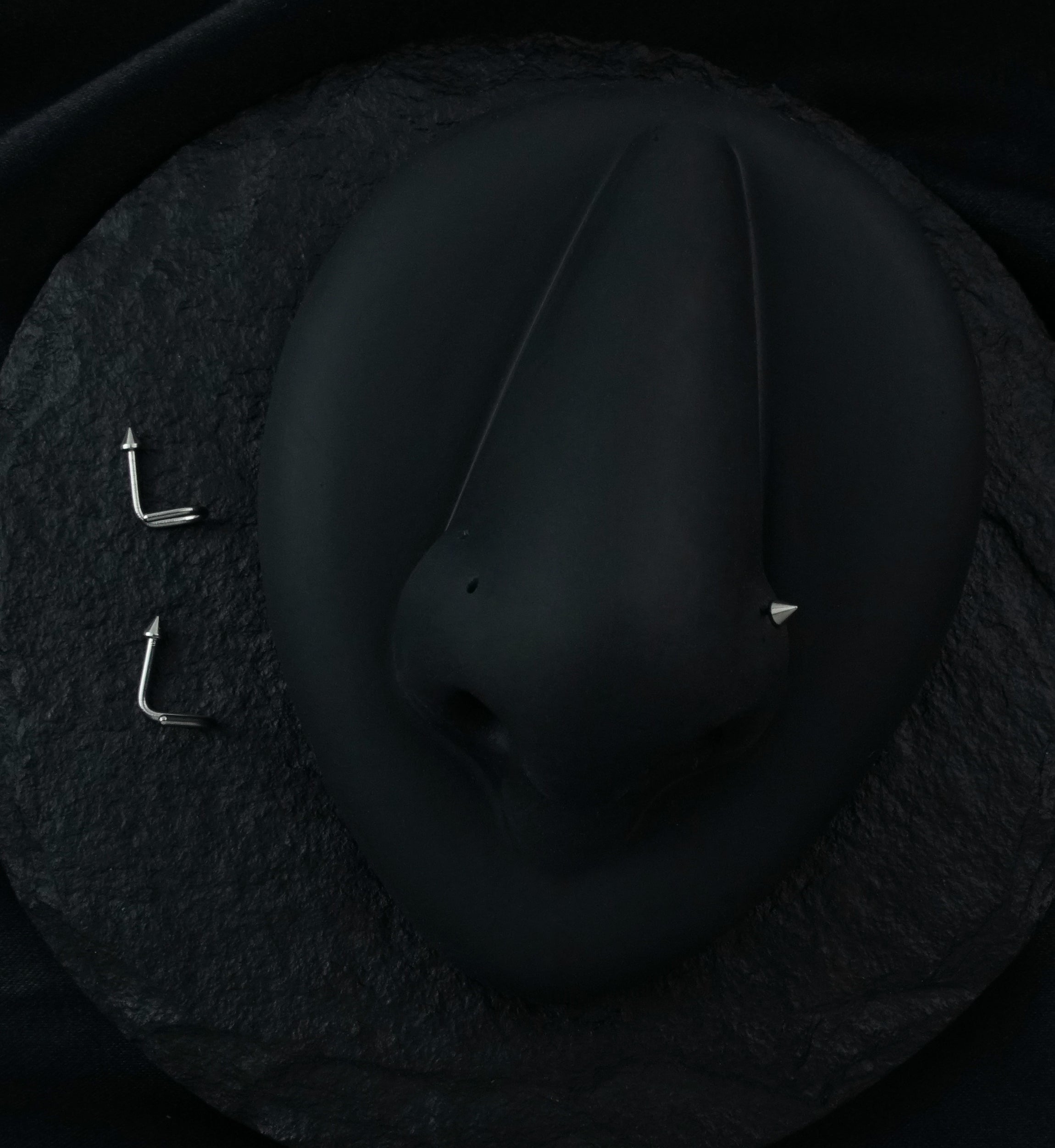 Stainless Steel Nose Screw