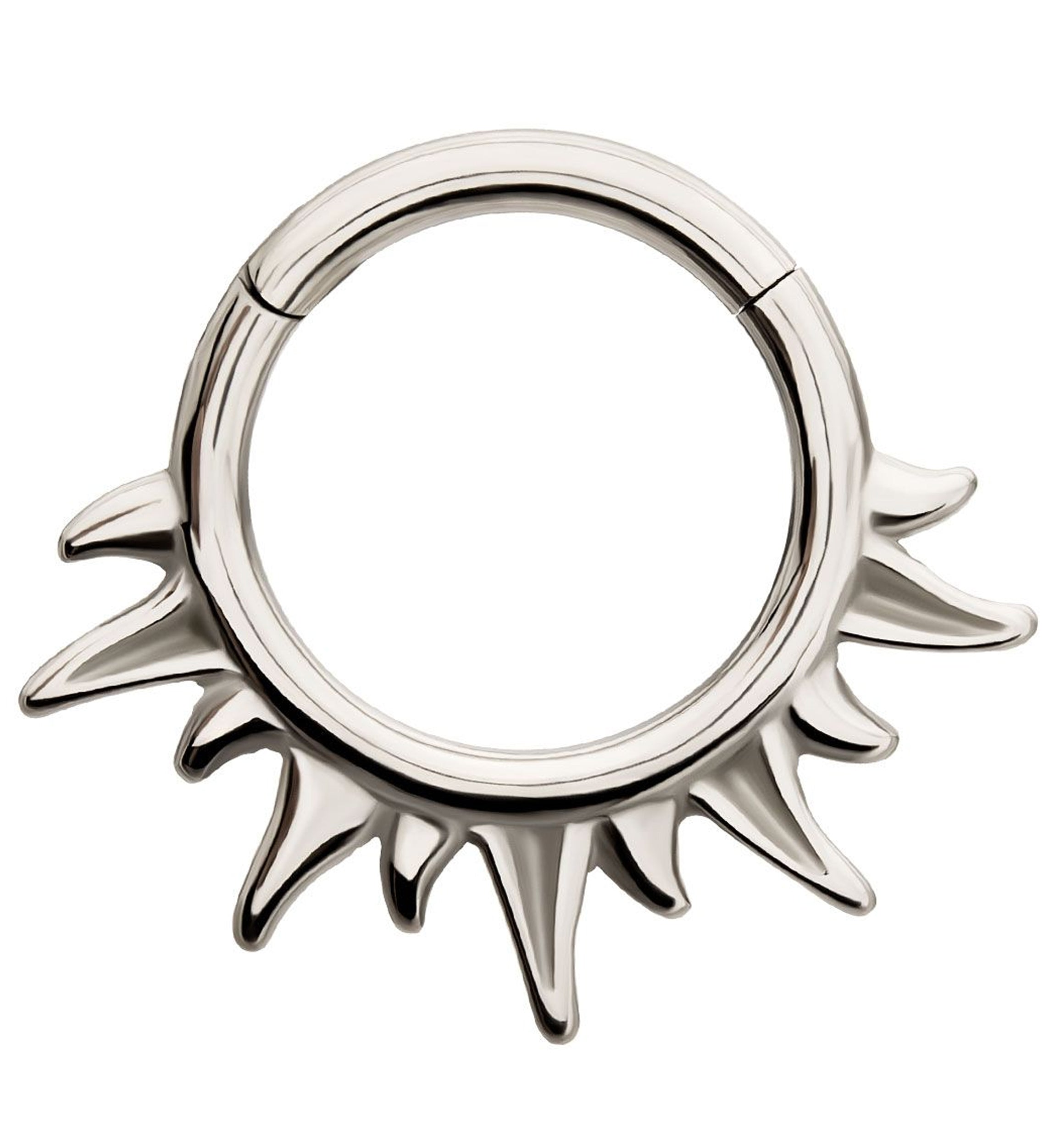 Sunshine Stainless Steel Hinged Segment Ring