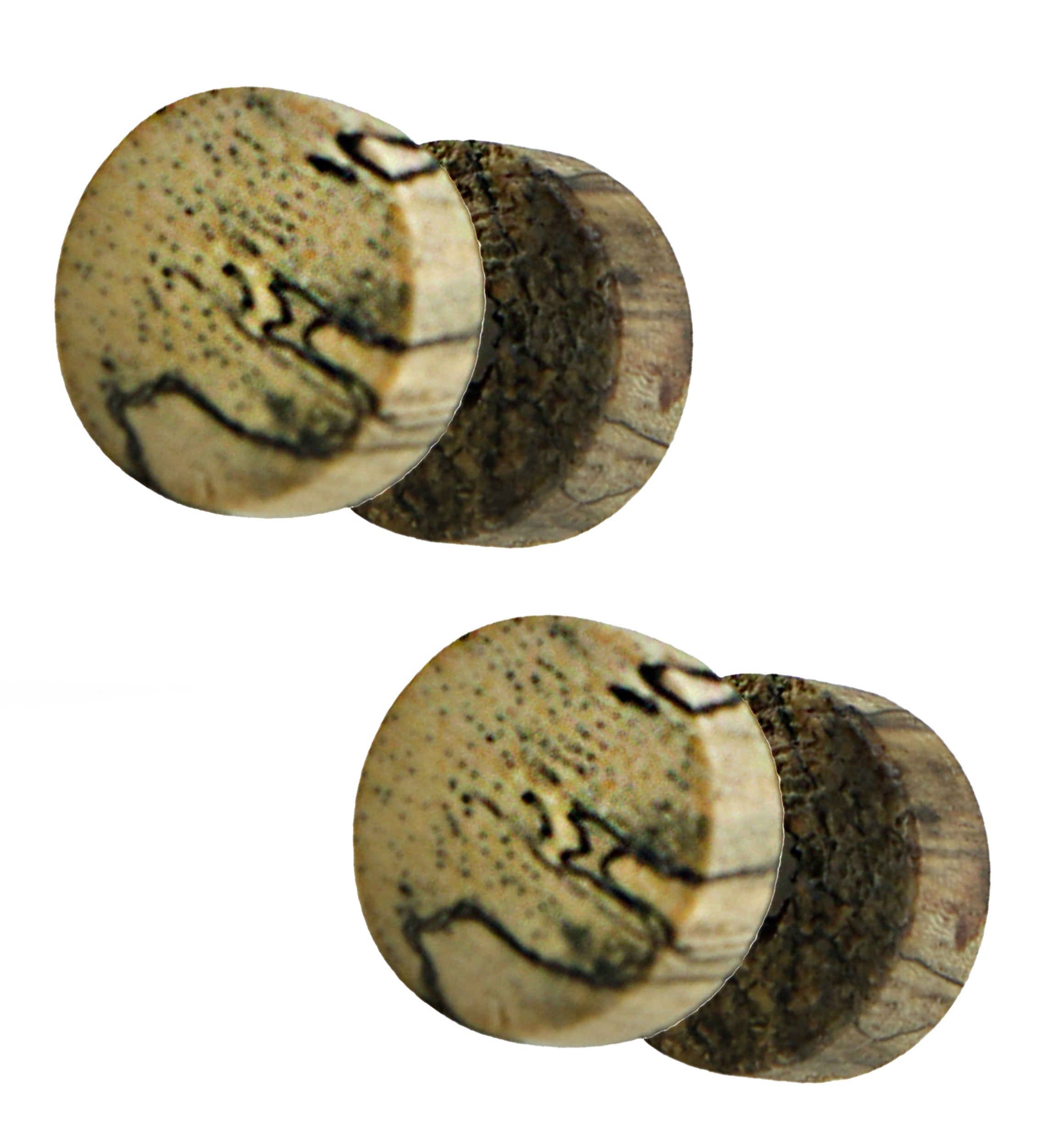 Tamarind Wood Fake Gauge Plugs