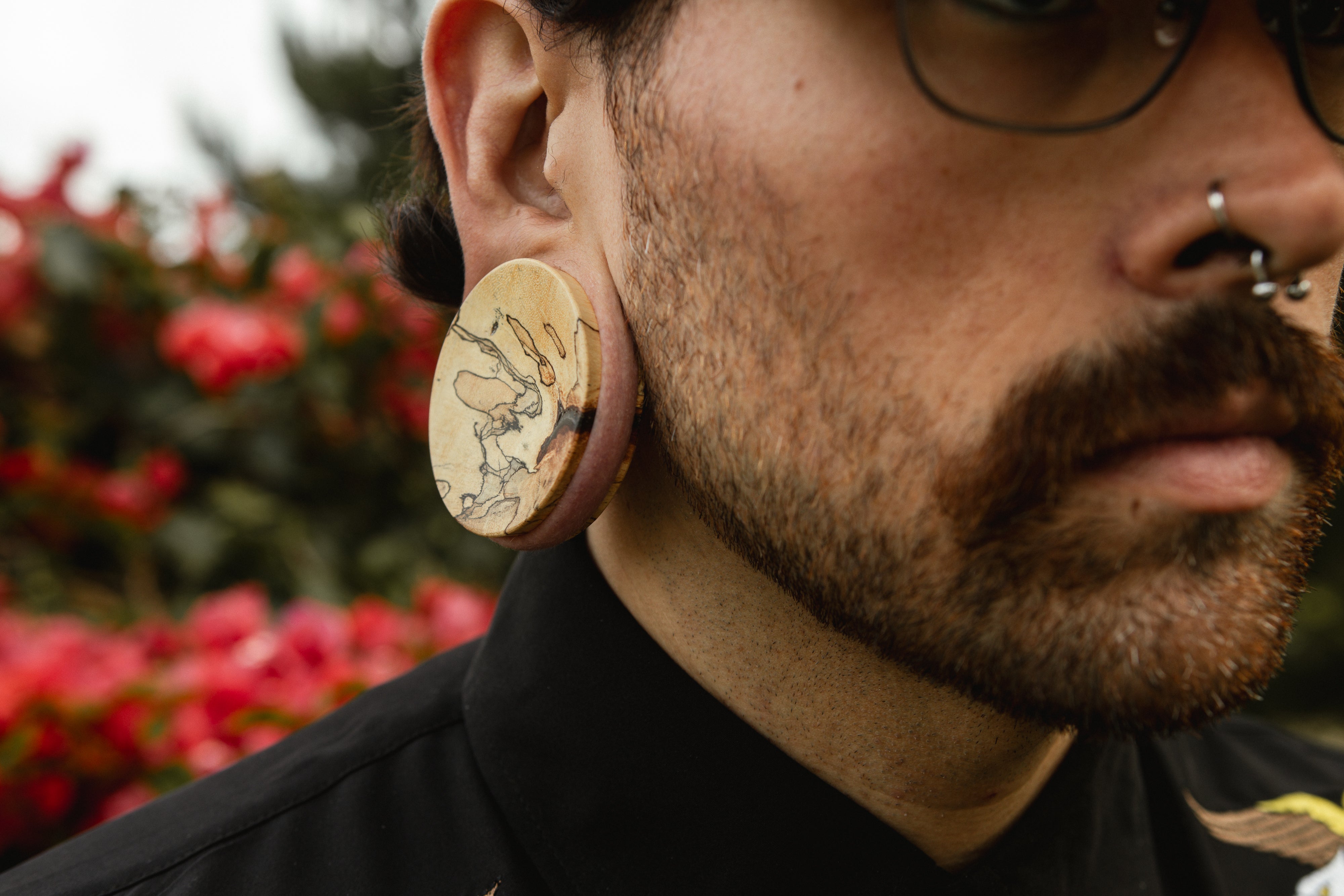 Tamarind Wood Plugs