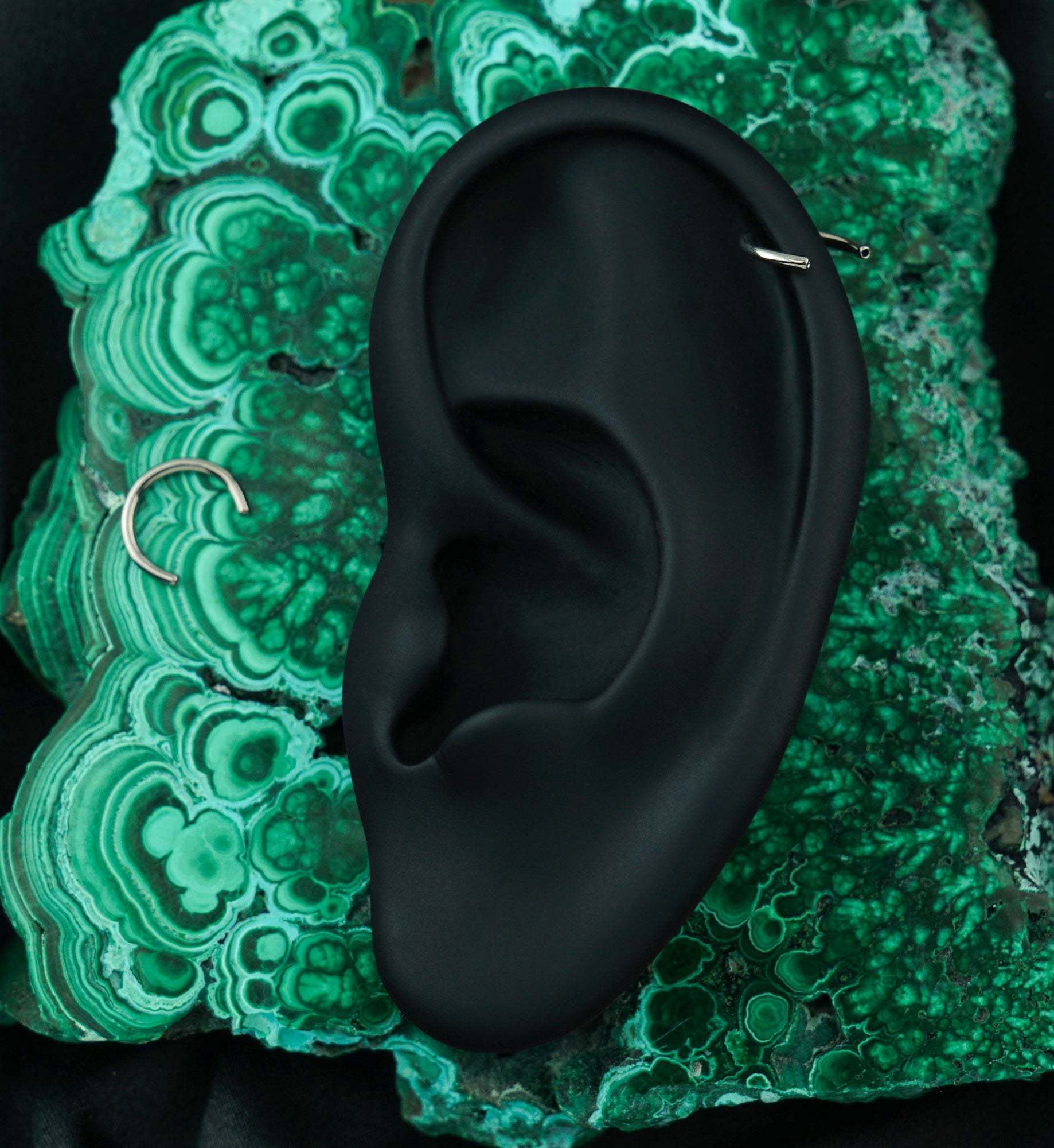 Threadless Titanium Circular Barbell (Bar Only)