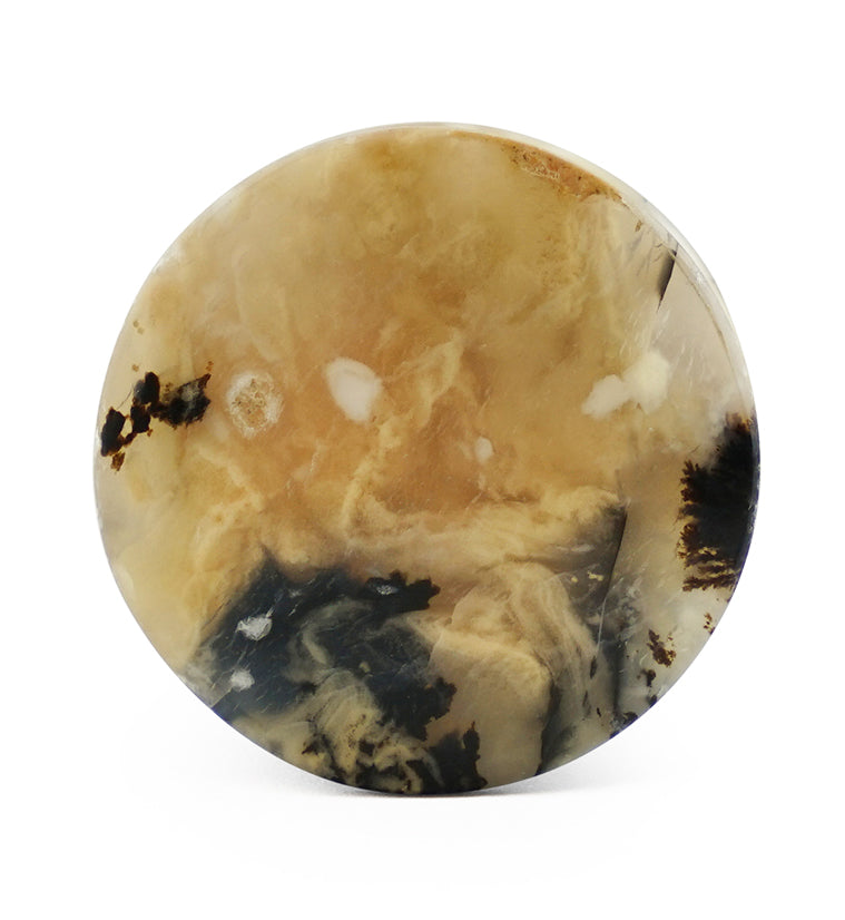 Tiger Agate Dendritic Stone Plugs
