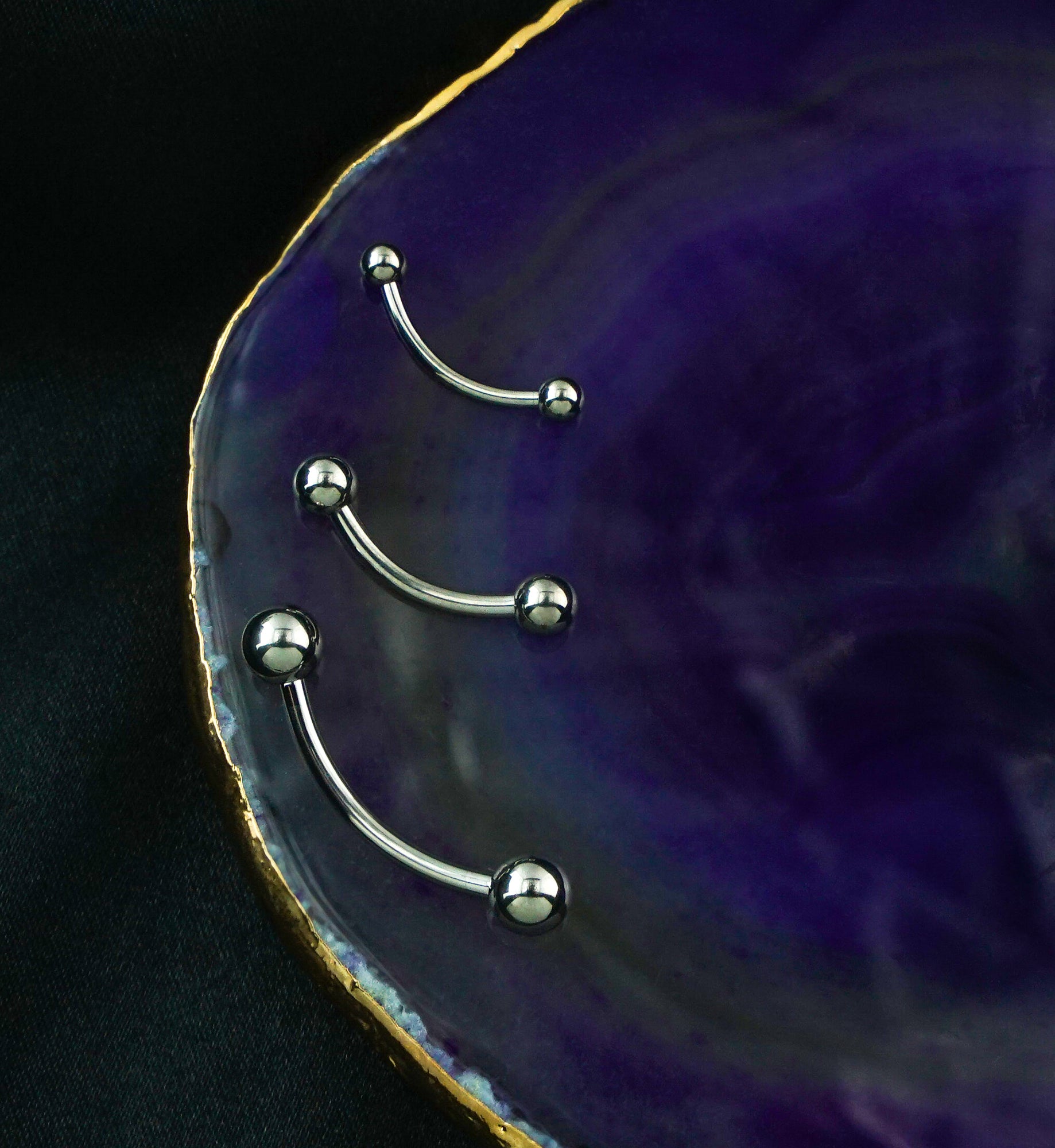 Titanium Curved Barbell