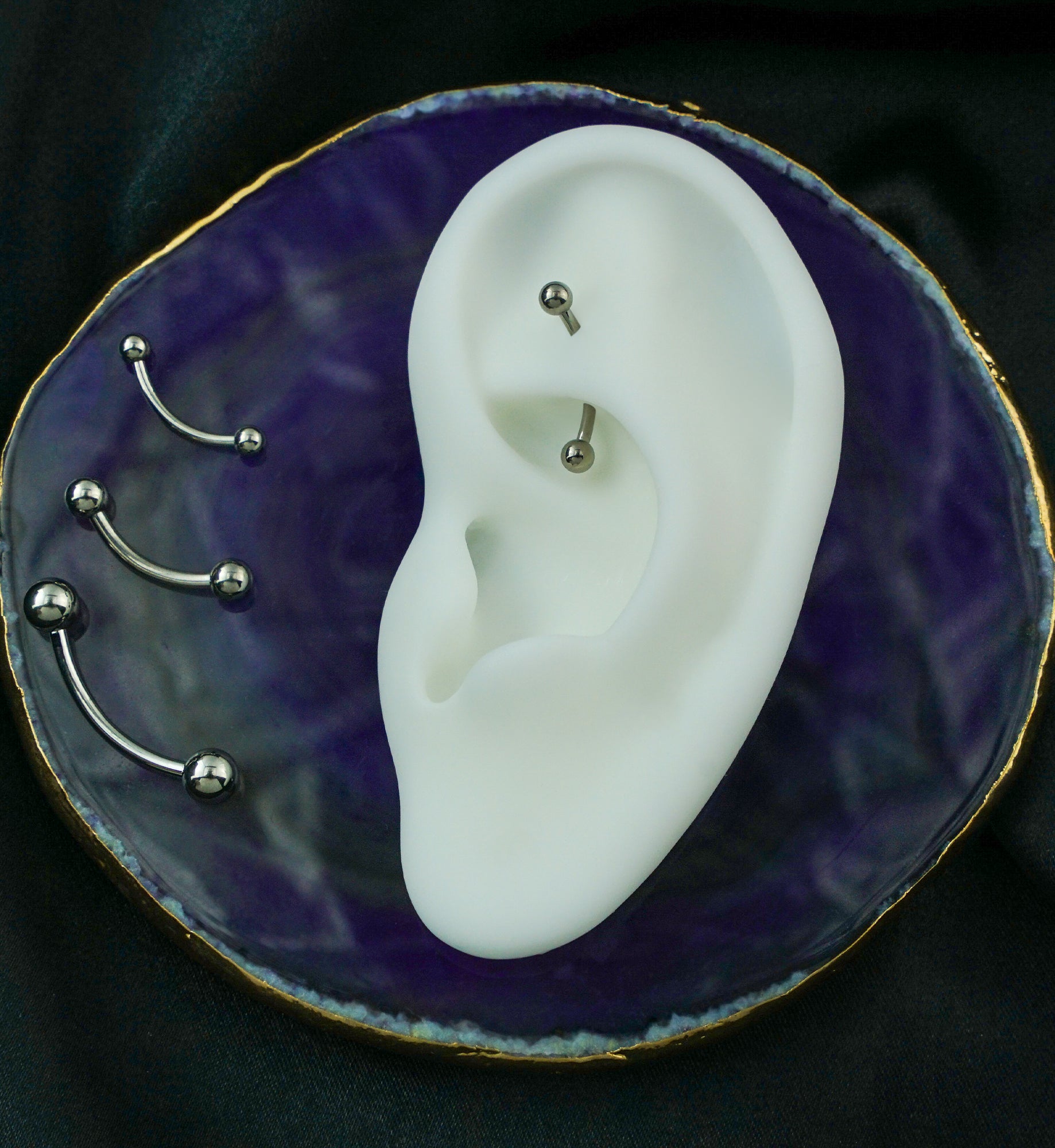 Titanium Curved Barbell