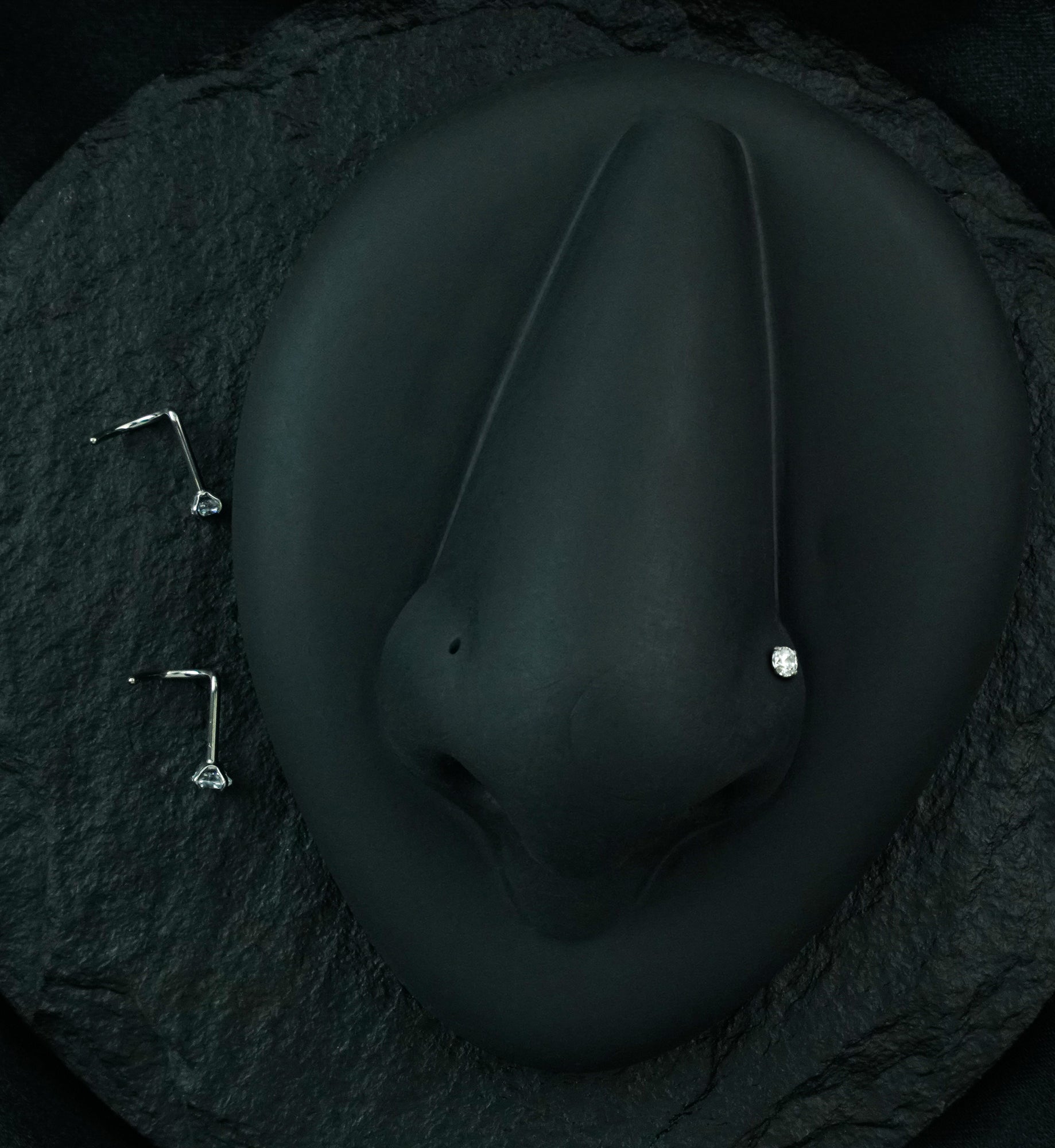 Titanium CZ Nose Screw