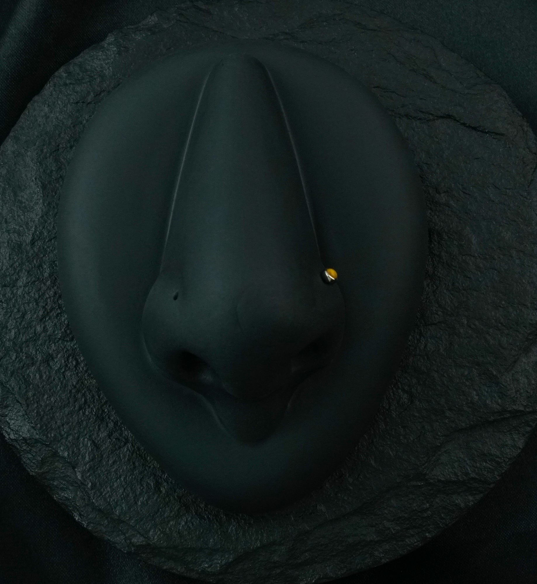 Titanium Nose Screw With Tiger Eye Stone