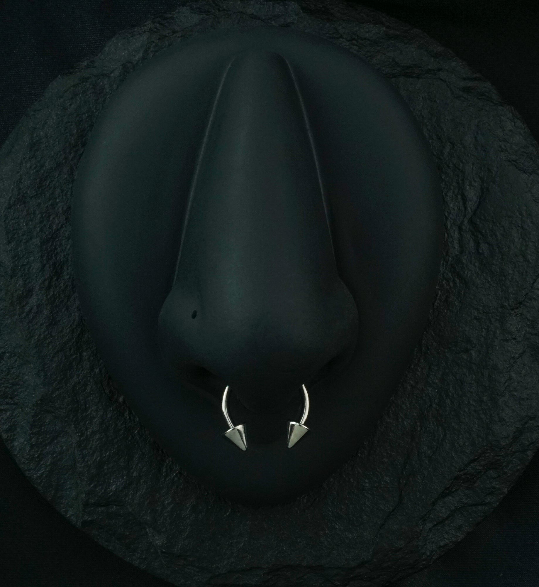 Titanium Spiked Circular Barbell