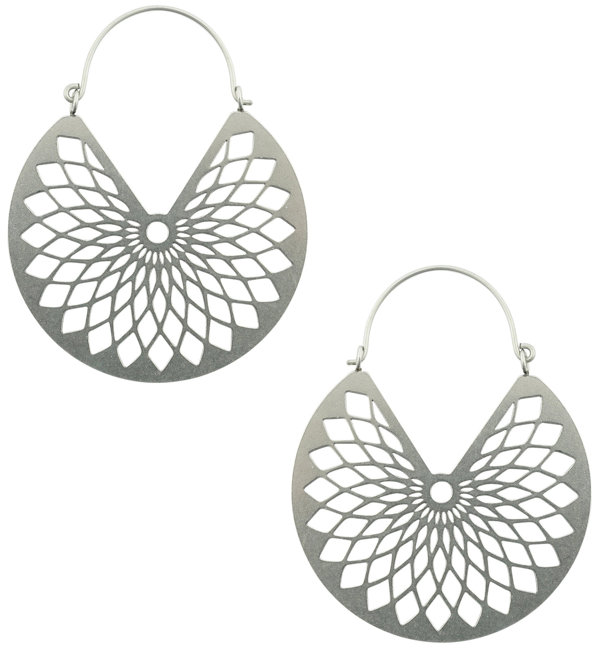 Torus Stainless Steel Plug Hoops