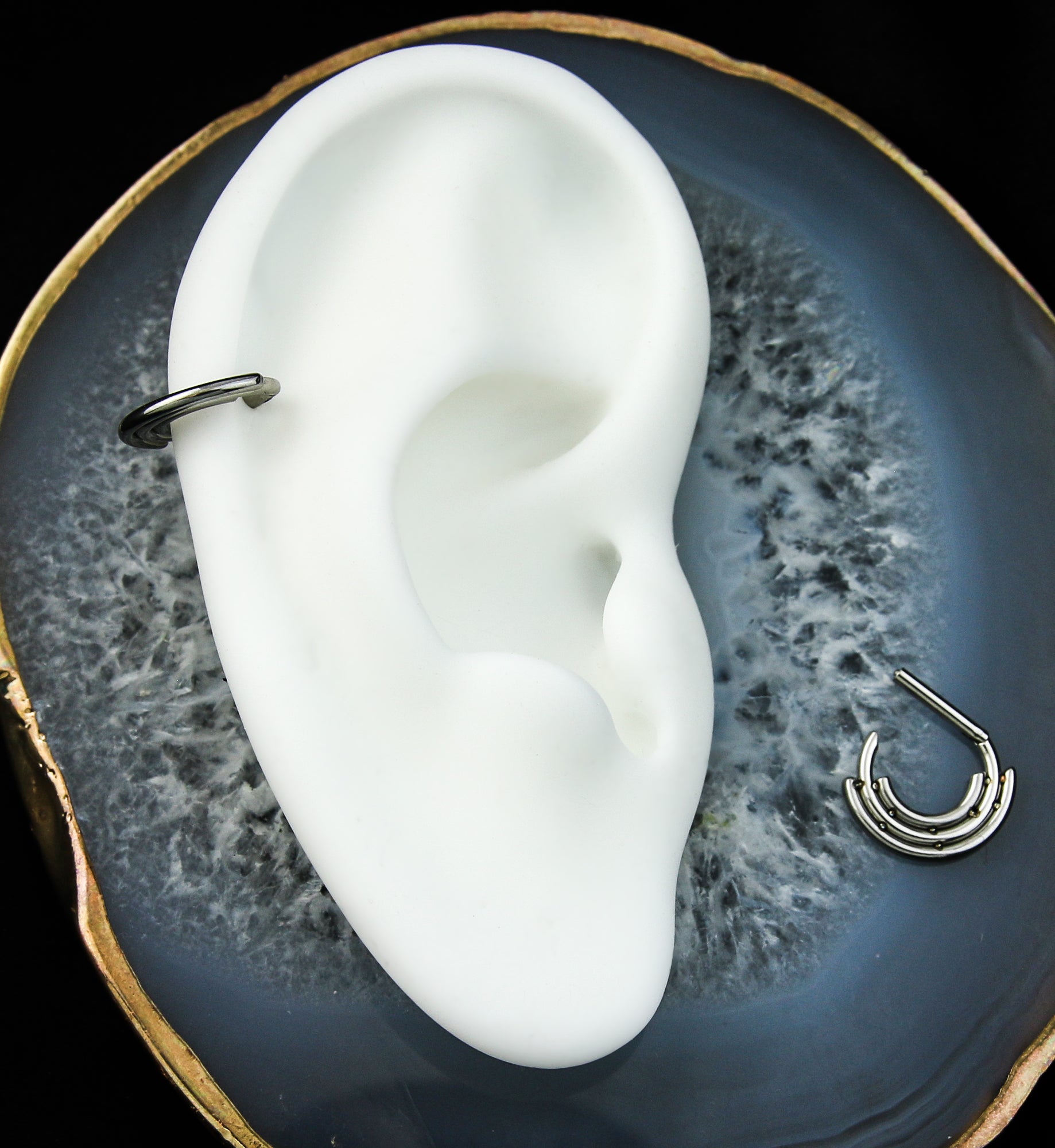 Triple Curve Stainless Steel Straight Hinged Segment Ring