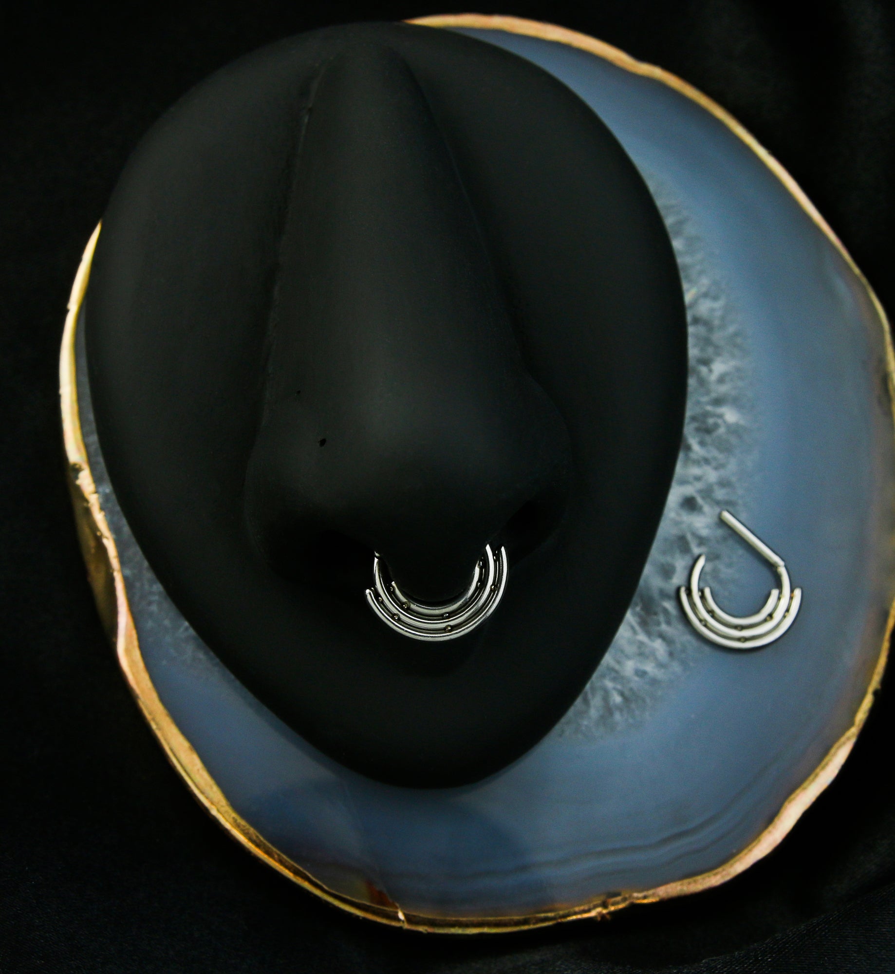 Triple Curve Stainless Steel Straight Hinged Segment Ring