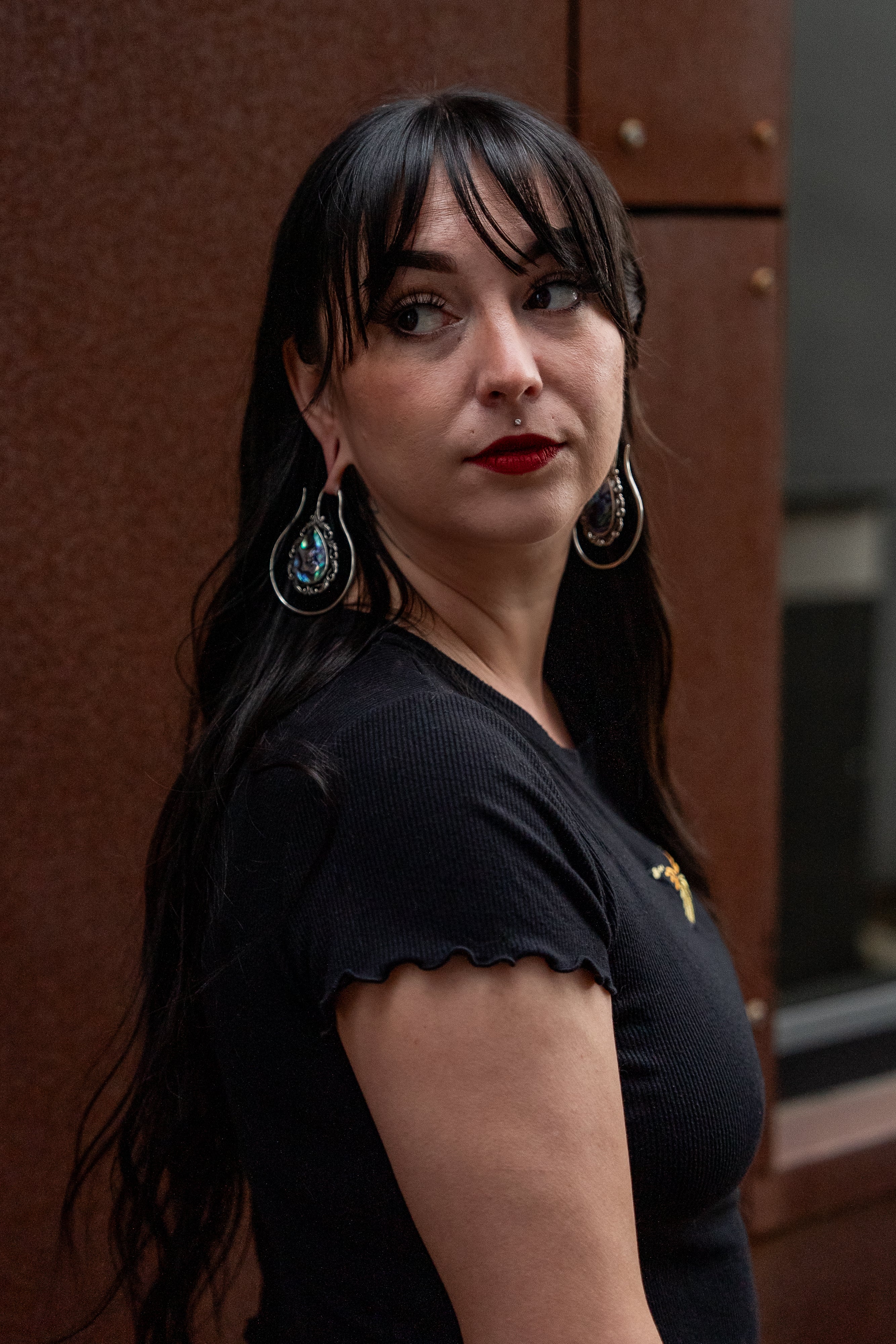 Vague Abalone White Brass Ear Weights