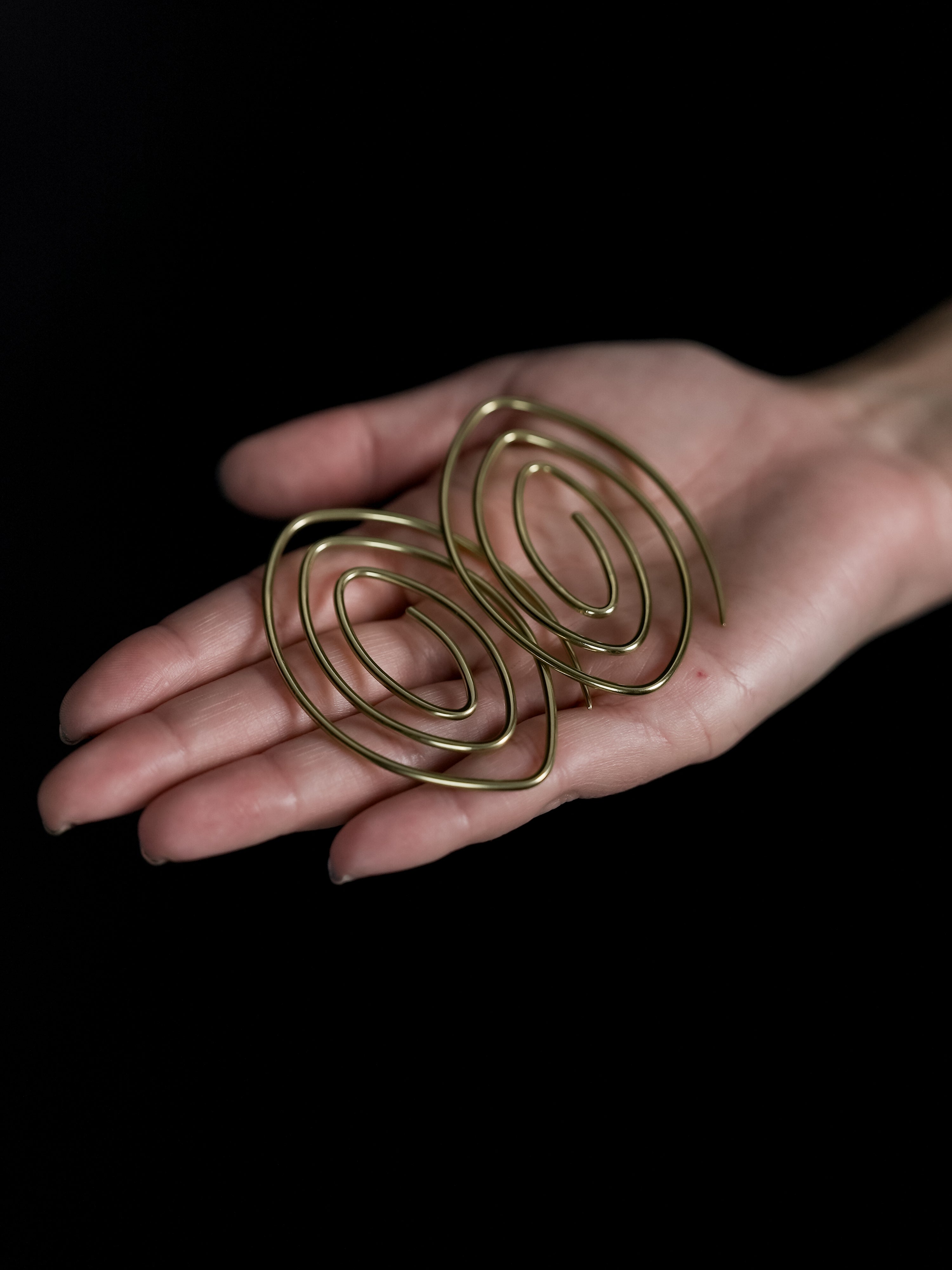 Whirl Brass Ear Weights / Hangers