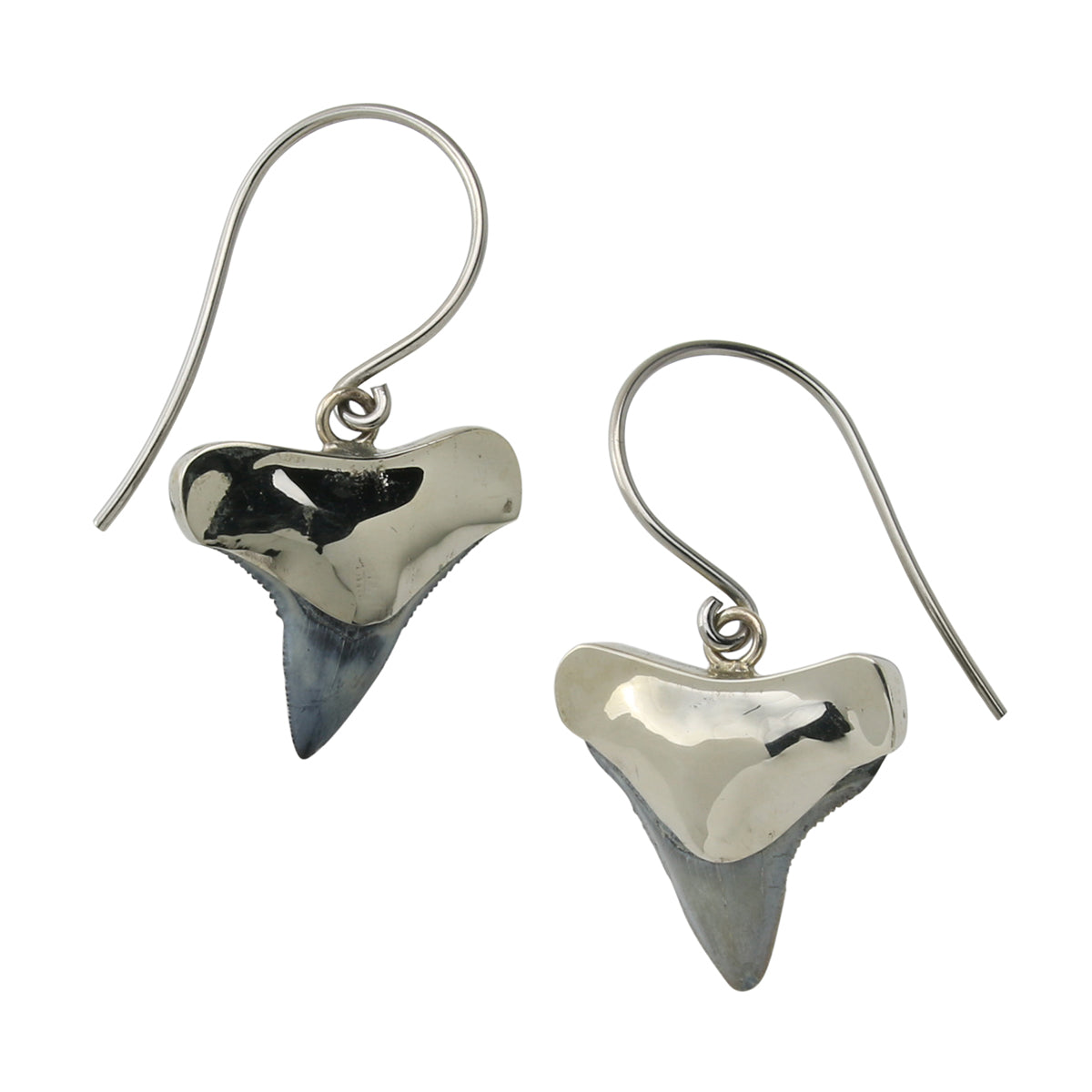 White Brass Fossilized Shark Tooth Dangle Earrings