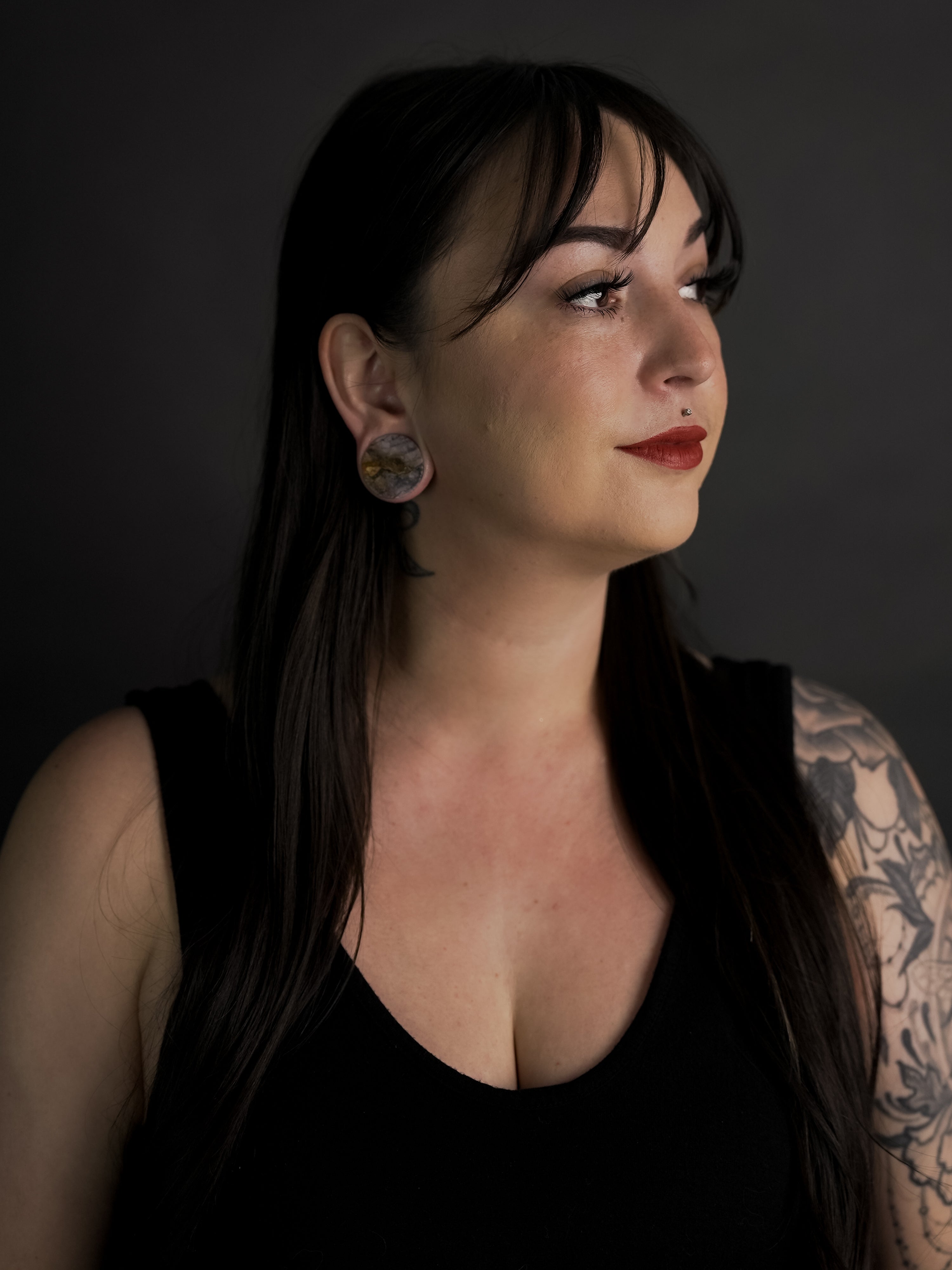 Willow Creek Jasper Stone Plugs