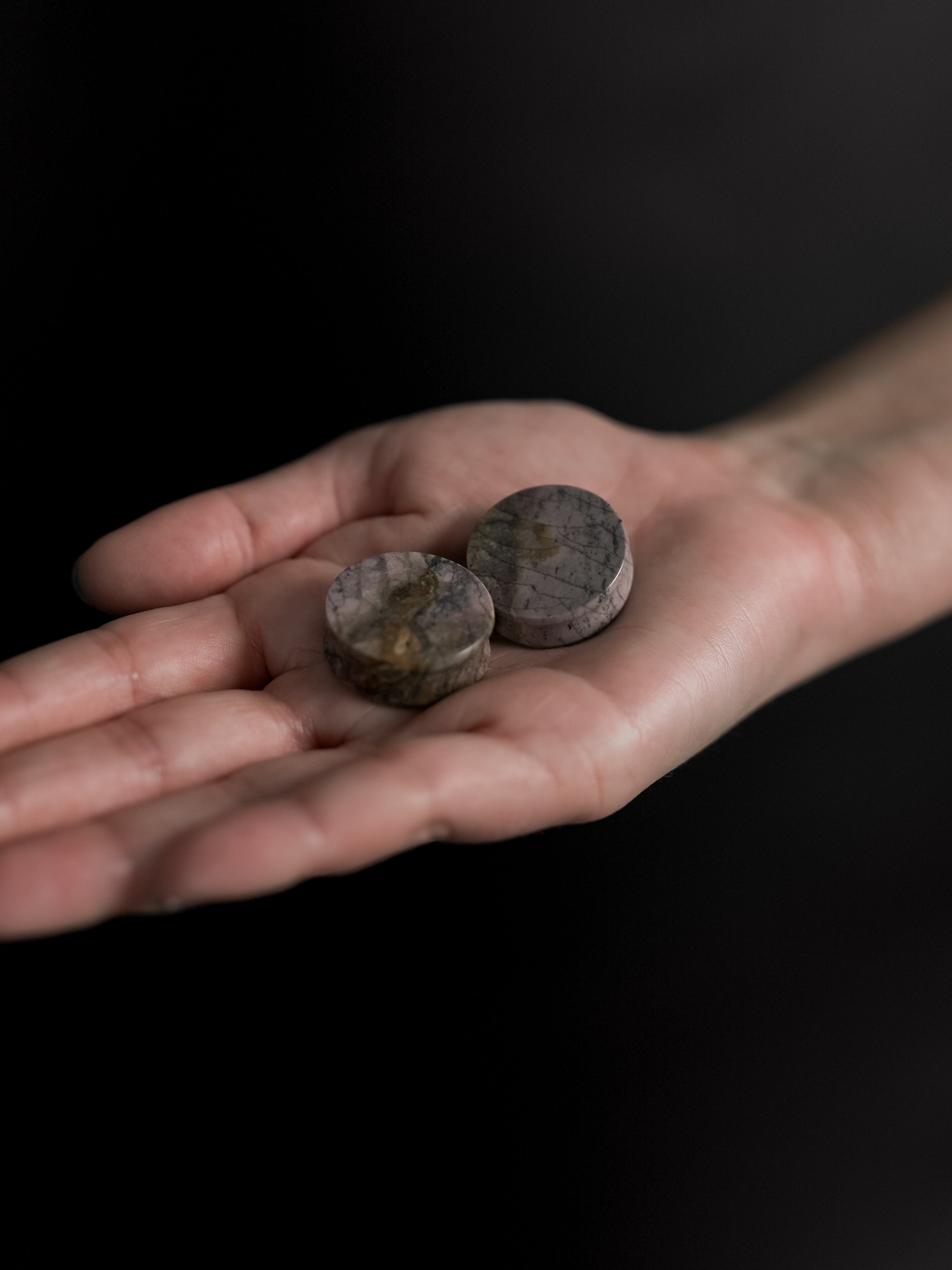 Willow Creek Jasper Stone Plugs