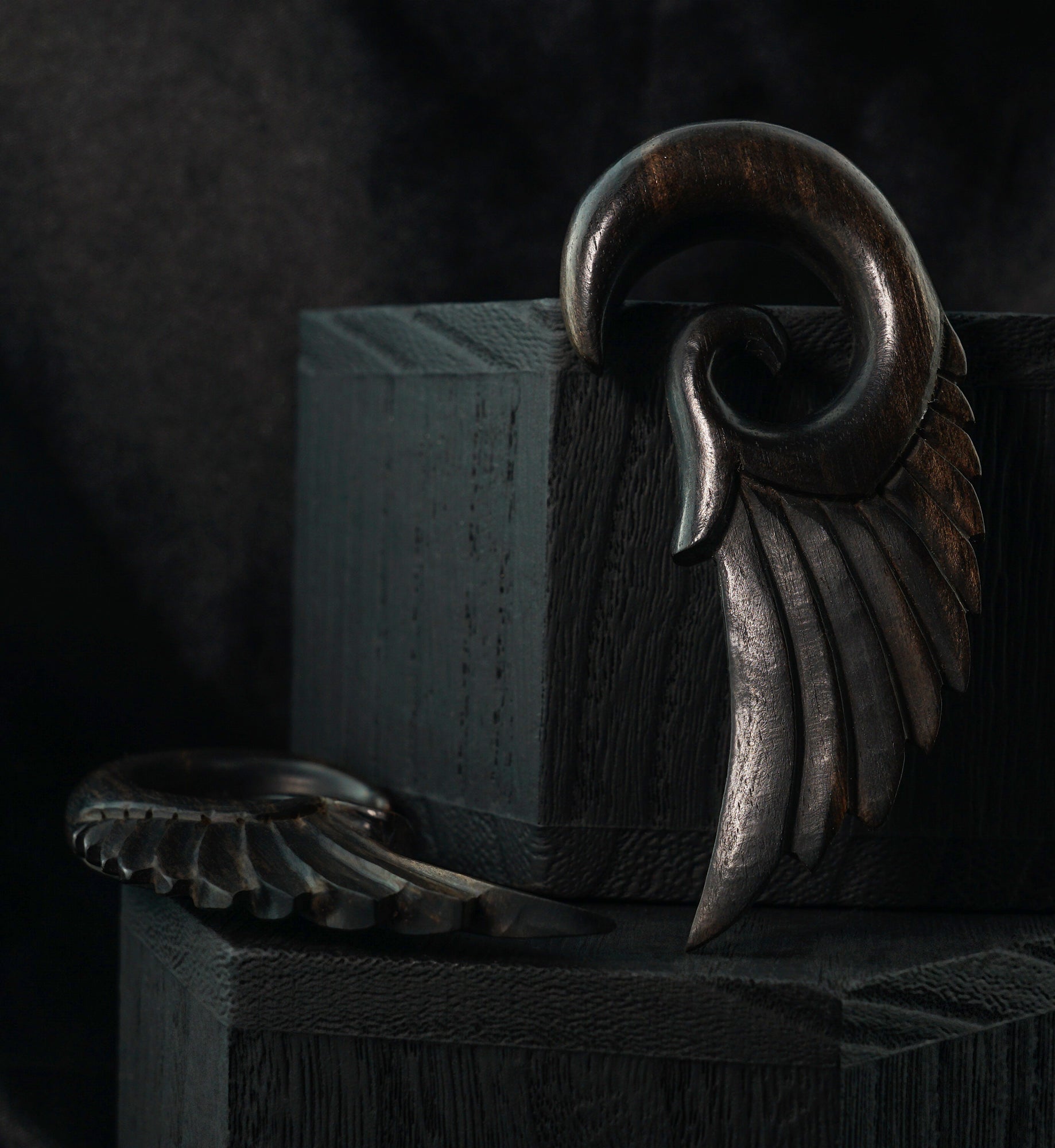 Wooden Feather Spiral Plugs