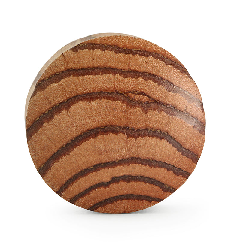 Zebrawood Plugs