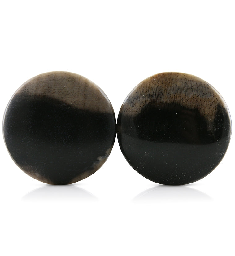 Petrified Wood Plugs 3-4" (19mm) Version 2