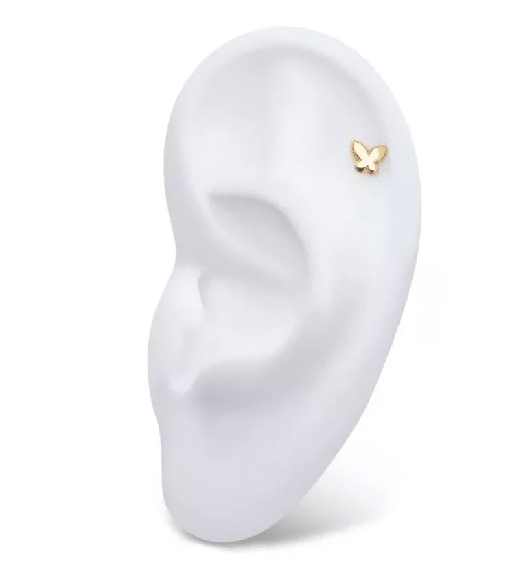 14kt Gold Beaded Butterfly Stainless Steel Threadless Top