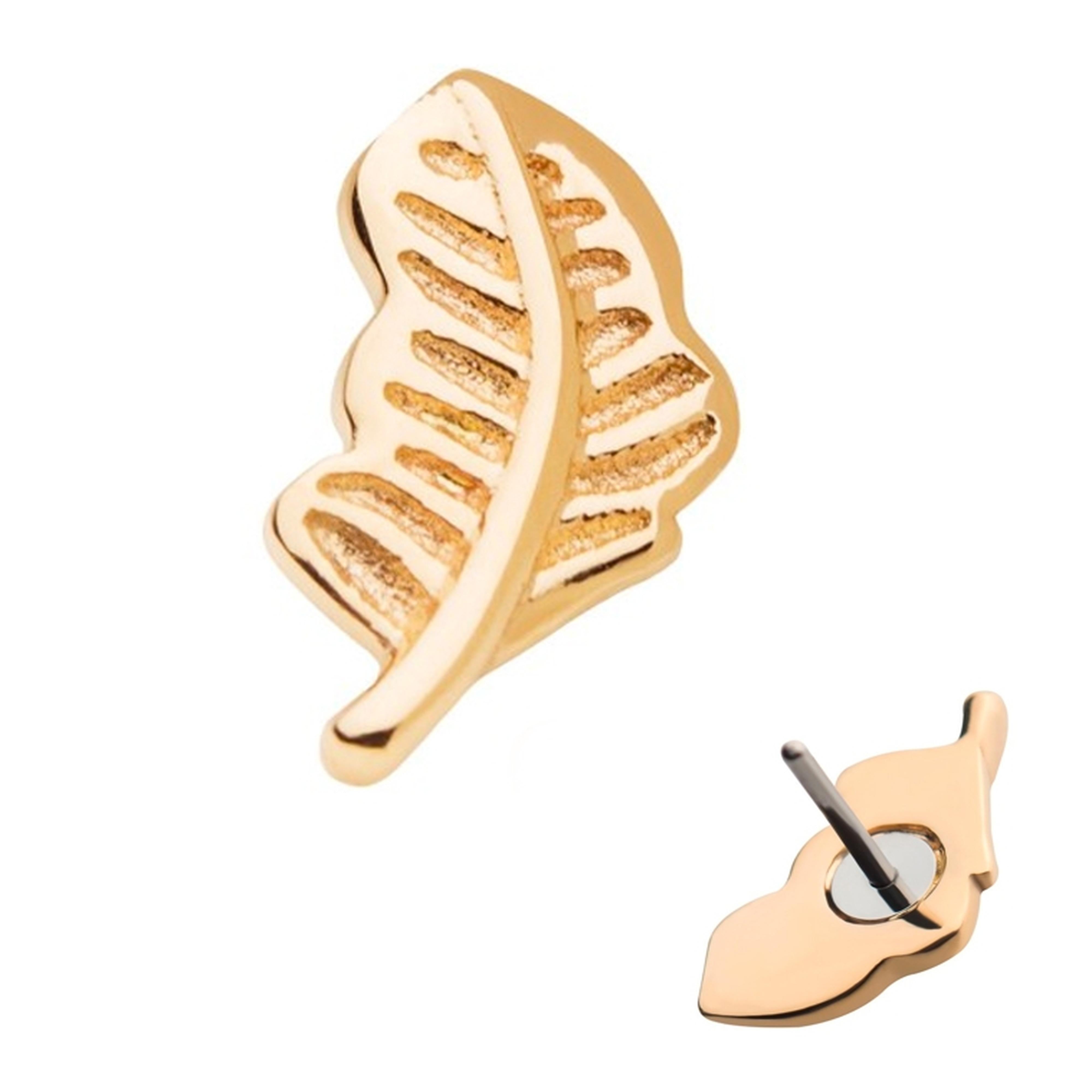 14kt Gold Feather Threadless Top