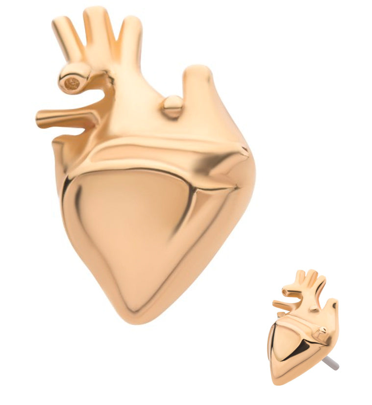 14kt Gold Heart Threadless Top