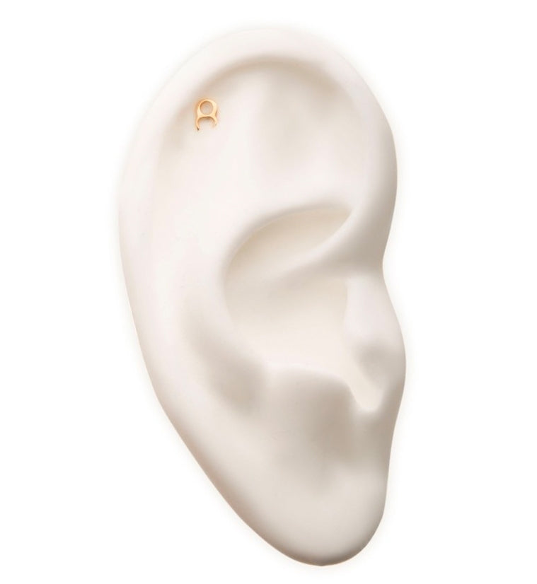 14kt Gold Taurus Zodiac Sign Threadless Top