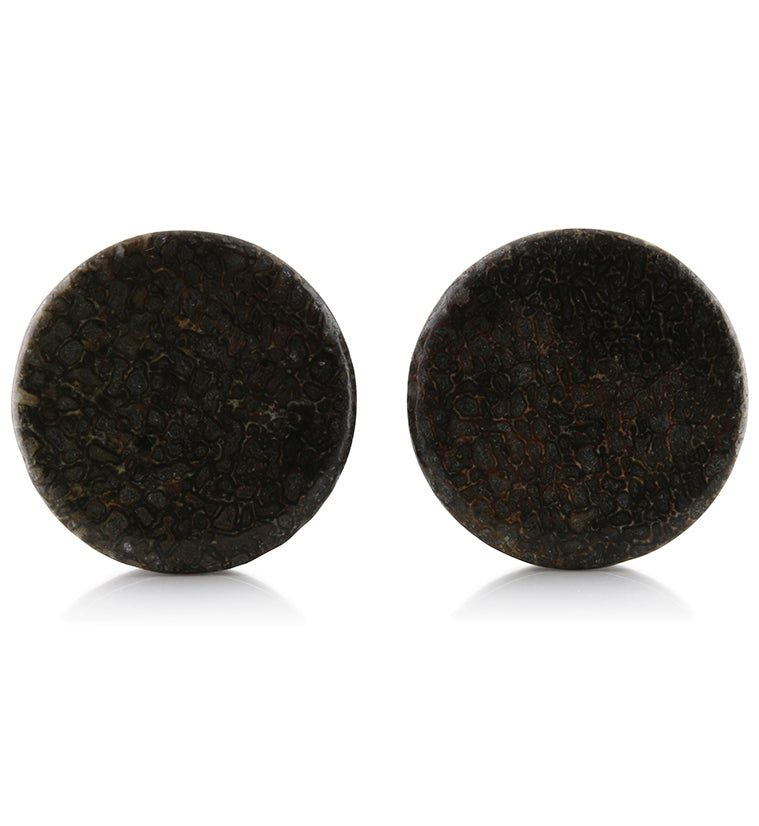 Fossilized Dinosaur Bone Plugs 1 Inch (25mm) Version 7