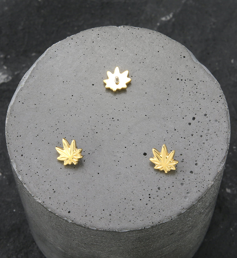 24kt Gold PVD Hemp Leaf Internally Threaded Titanium Top