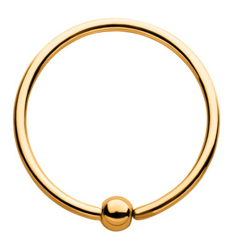 24kt PVD Gold Titanium Annealed Captive Bead Ring