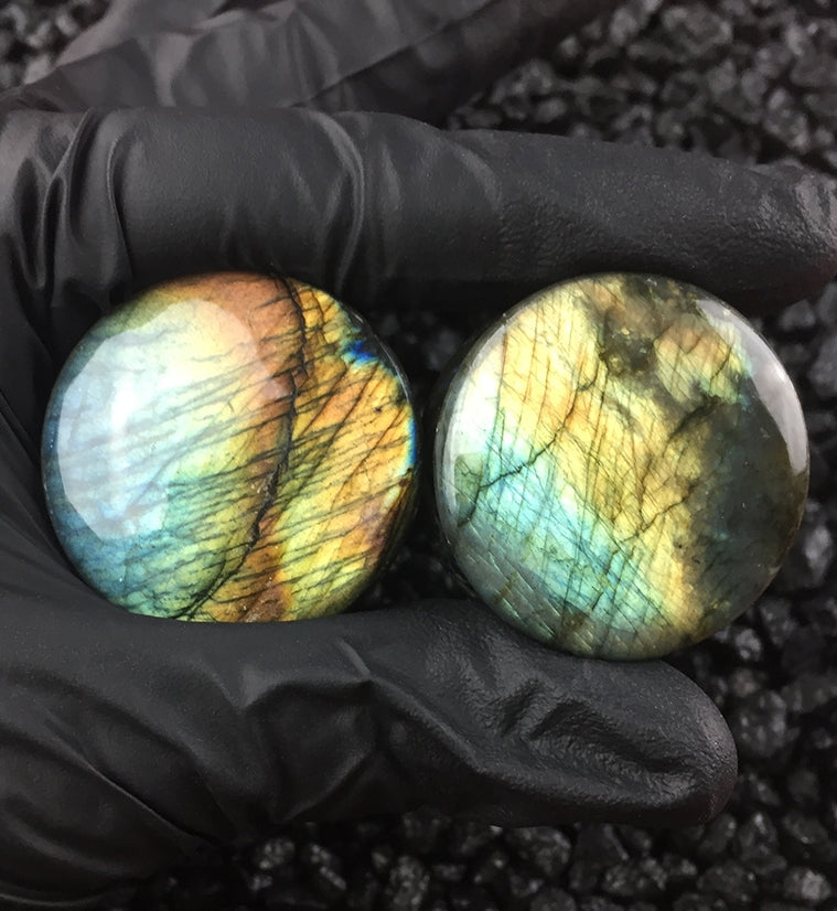 Labradorite Stone Plugs