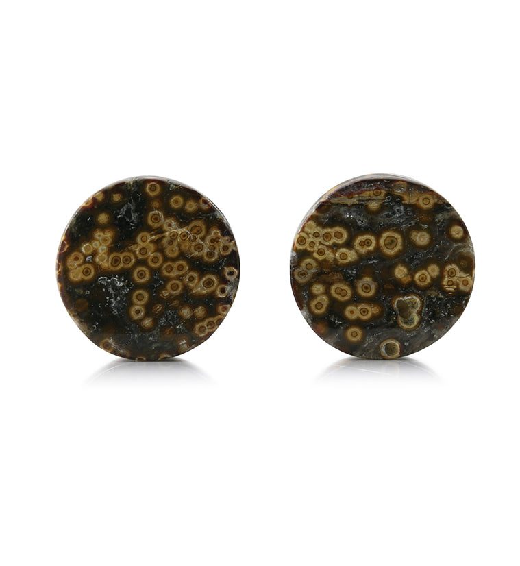 Ocean Jasper Stone Plugs 5/8 Inch (16mm) Version 3