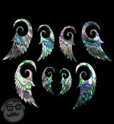 Abalone Shell Angel Wing Spirals