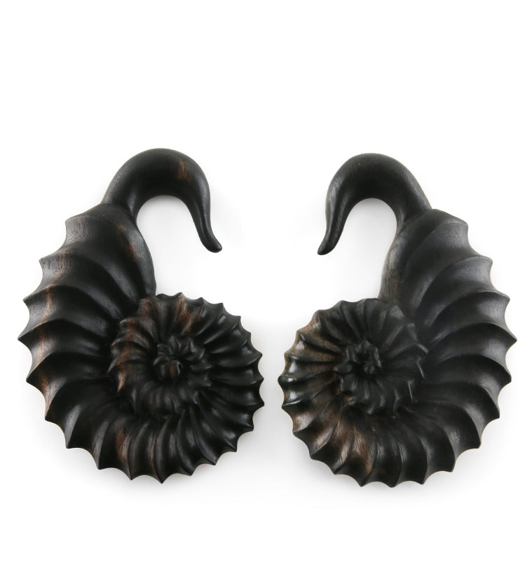 Ammonite Wooden Hangers