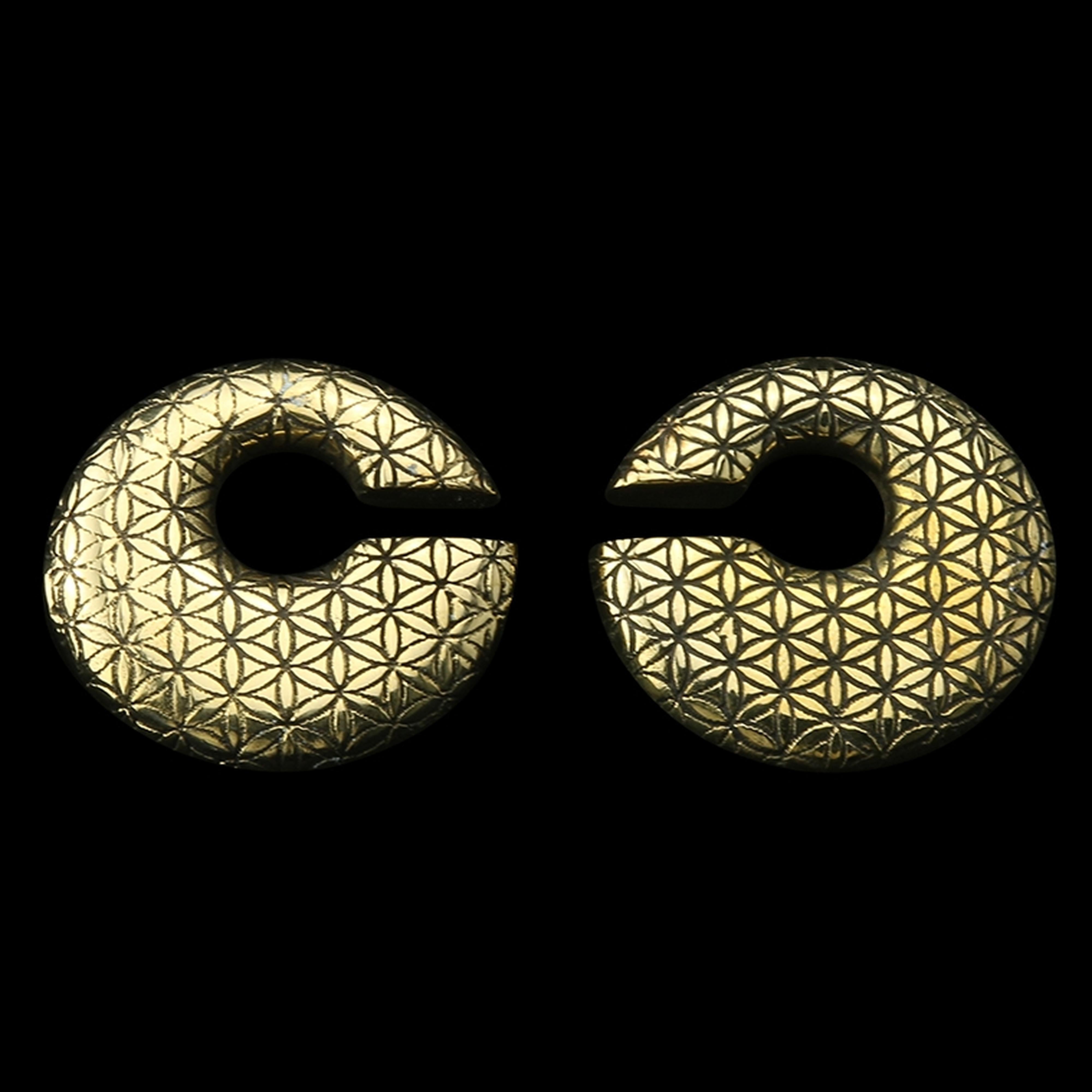 Annular Flower of Life Brass Ear Weights