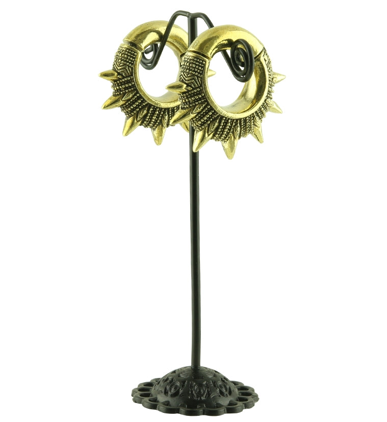 Apex Hinged Ear Weights